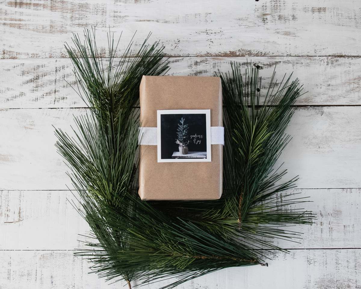 florida brown and black book on green plant usa