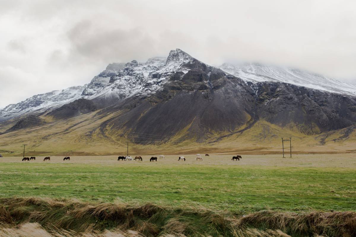 Wide-angle landscape of the fields and mountains in 