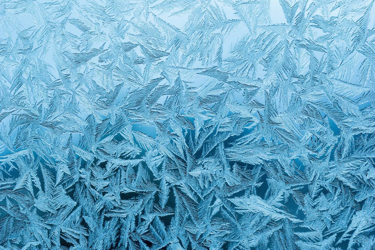  branch  winter  texture  ice  pattern  line 