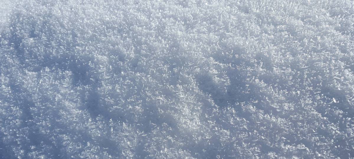   cold  sky  white  sunlight  frost  ice 