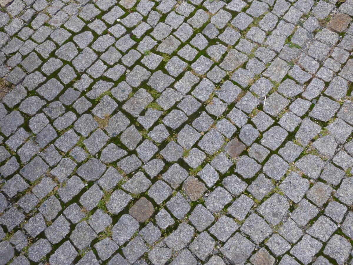   grass  street  lawn  texture  sidewalk 