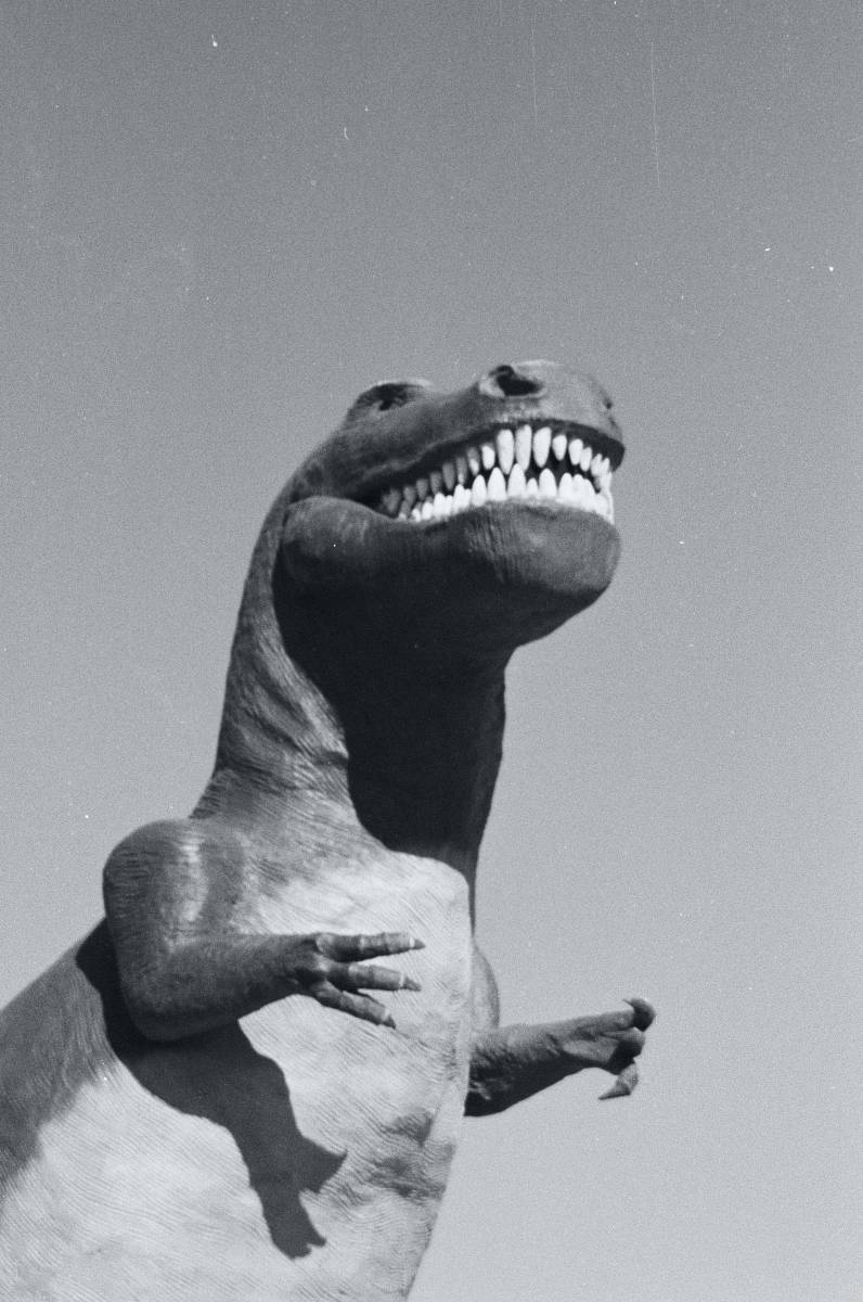 dinosaur grayscale photo of a man with a dog t rex