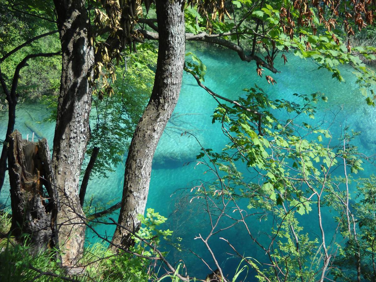 Turquiose Lake through the trees at Plitvice Lake National 