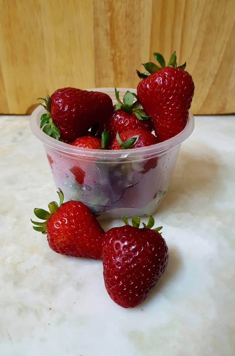   nature  plant  raspberry  fruit  berry 