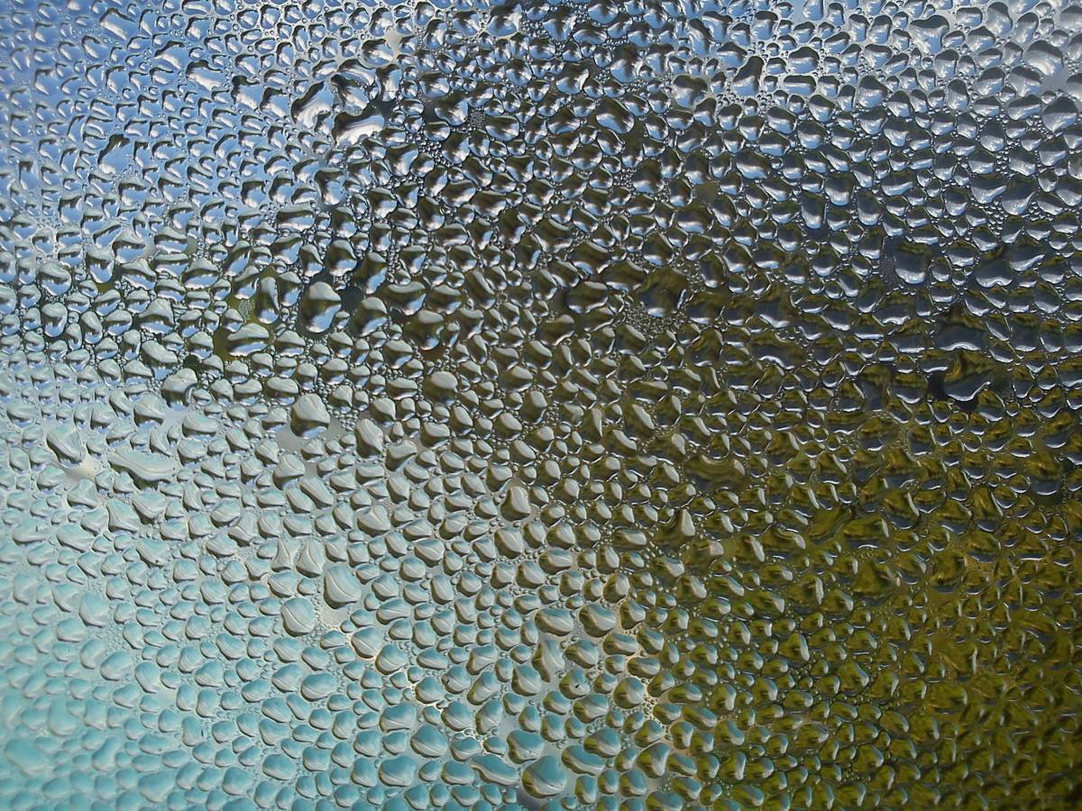   texture  leaf  glass  frost  pattern  small 