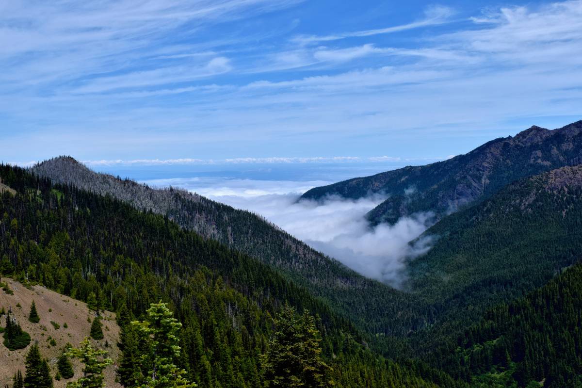   forest  wilderness  cloud  hiking  hill 