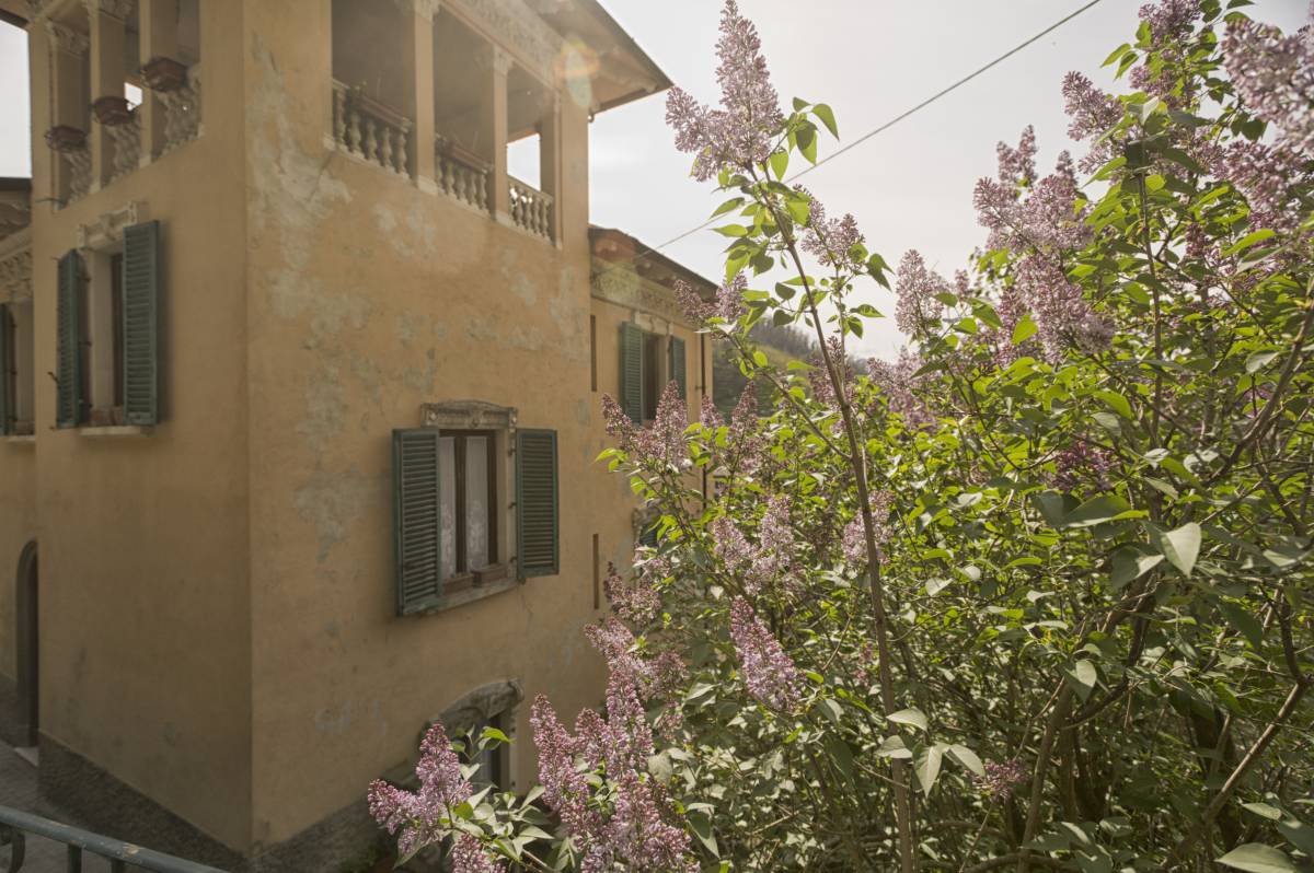   villa  house  flower  town  building  home 