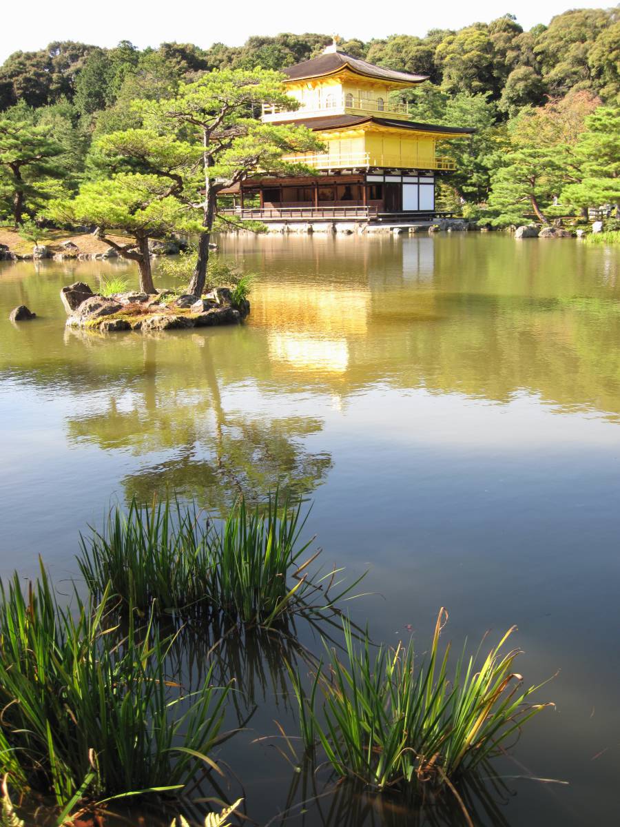   landscape  tree  grass  flower  lake  river 