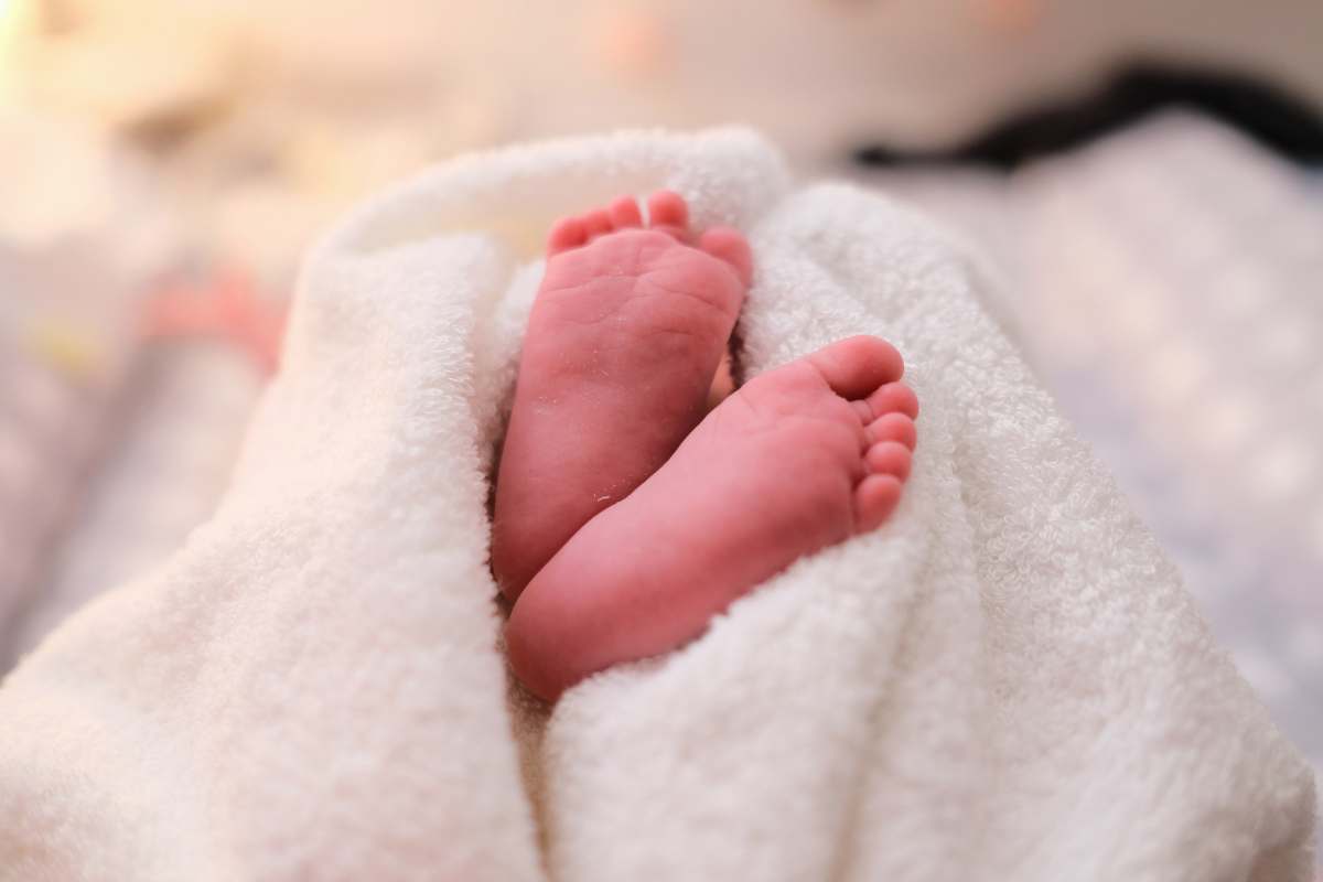 newborn baby covered with white blanket infant