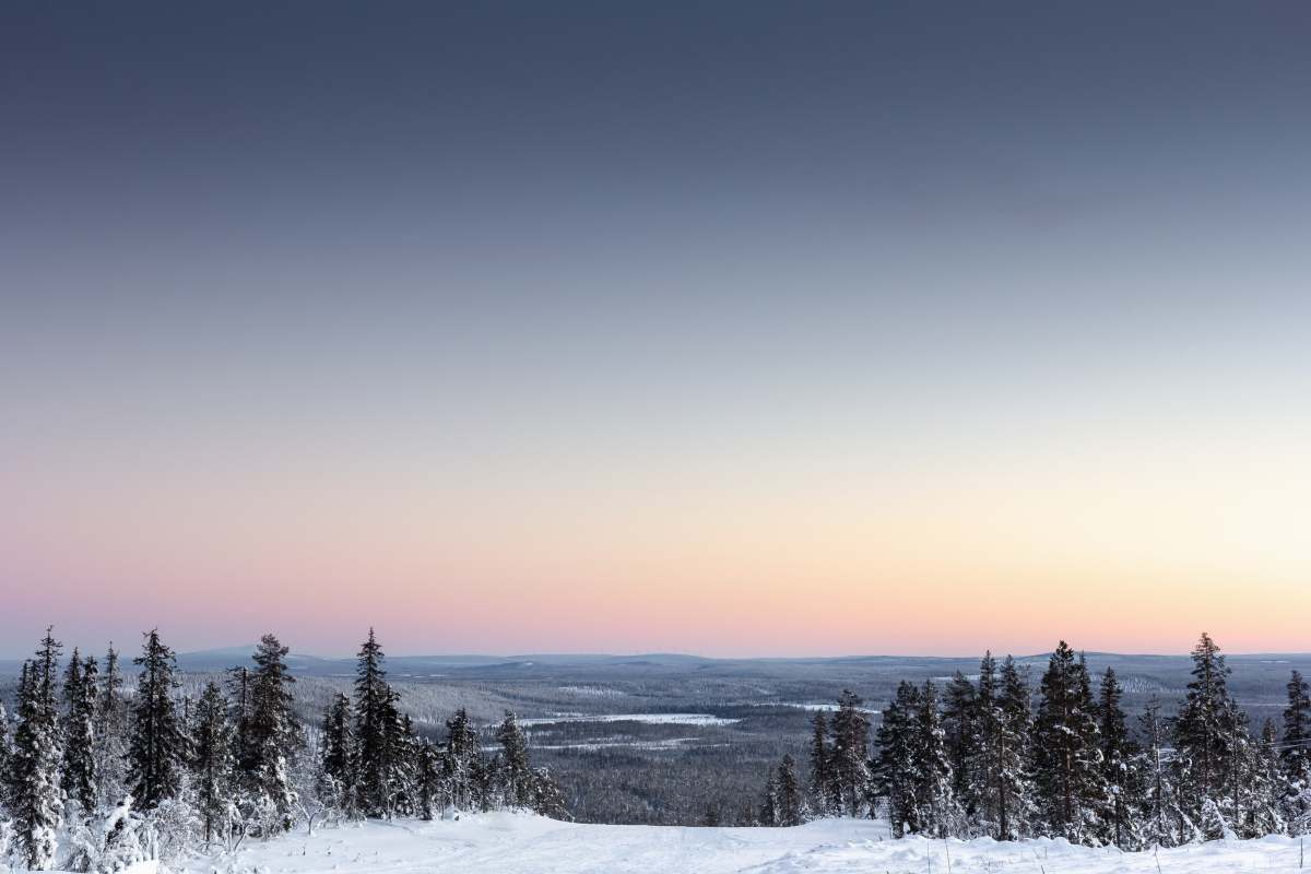 levi bird's-eye view photography of forest covered with snow finland