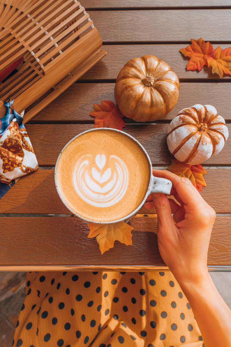 fall cup of coffee autumn