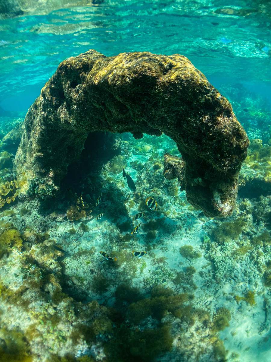 nature brown and gray rock on body of water outdoors