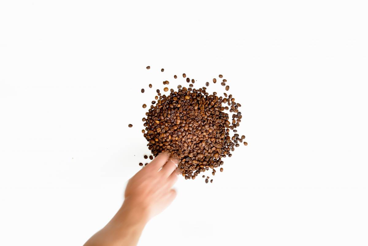   hand  coffee  morning  flower  food  herb 