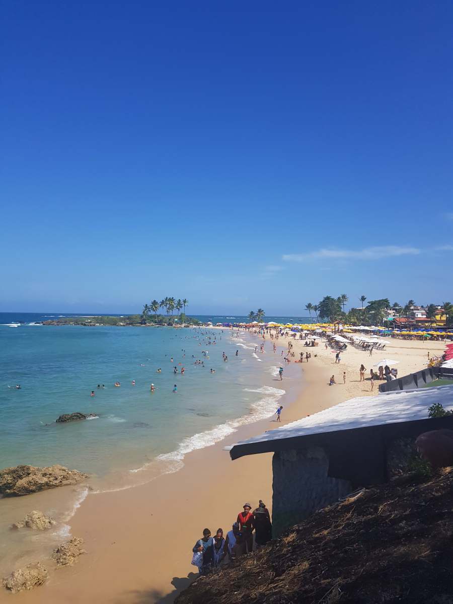 beach people on beach during daytime morro de são paulo