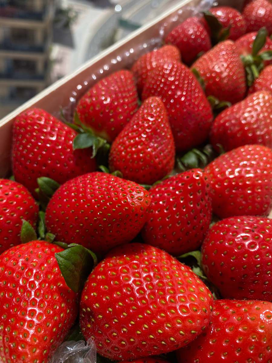 fruit red strawberries on white plastic container plant