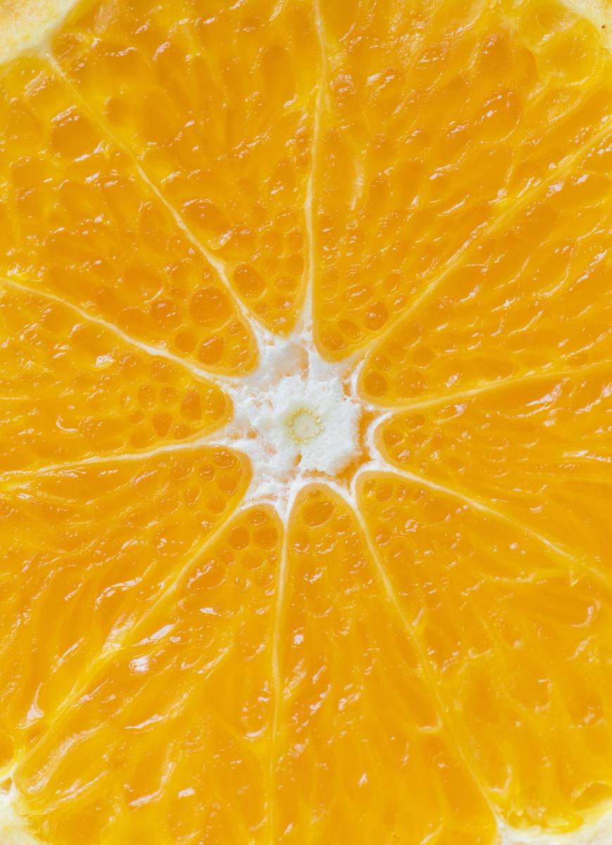   background  citrus  closeup  cut  detox 