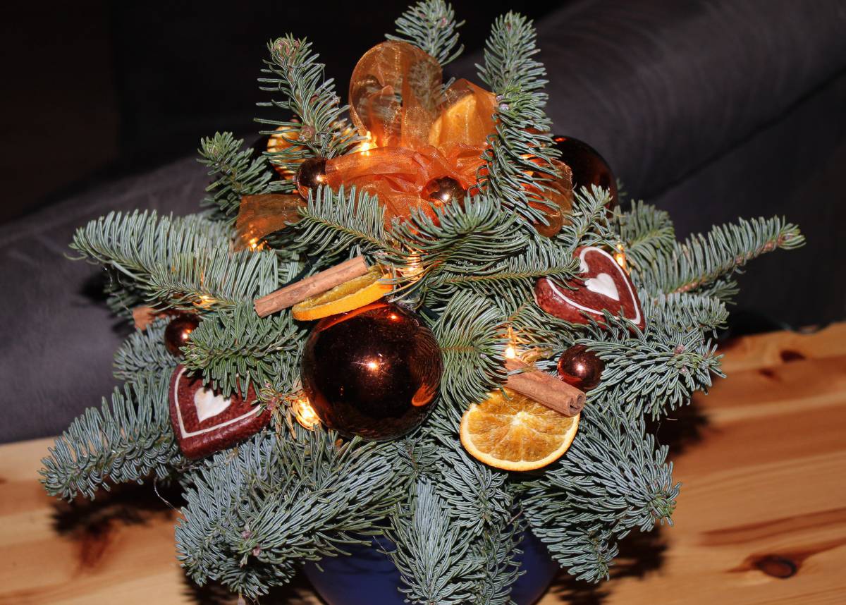   branch  flower  holiday  fir  decor 