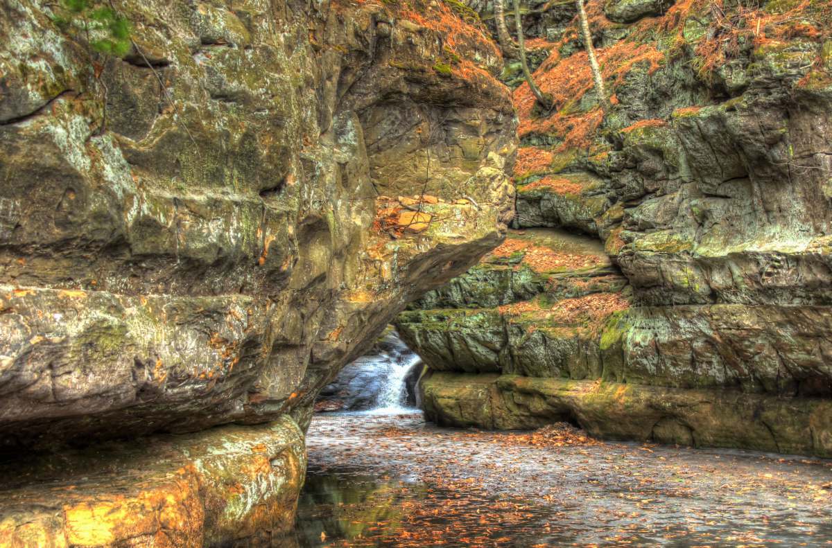 Scenic Gorge Landscape at Pewit's Nest Natural Area 