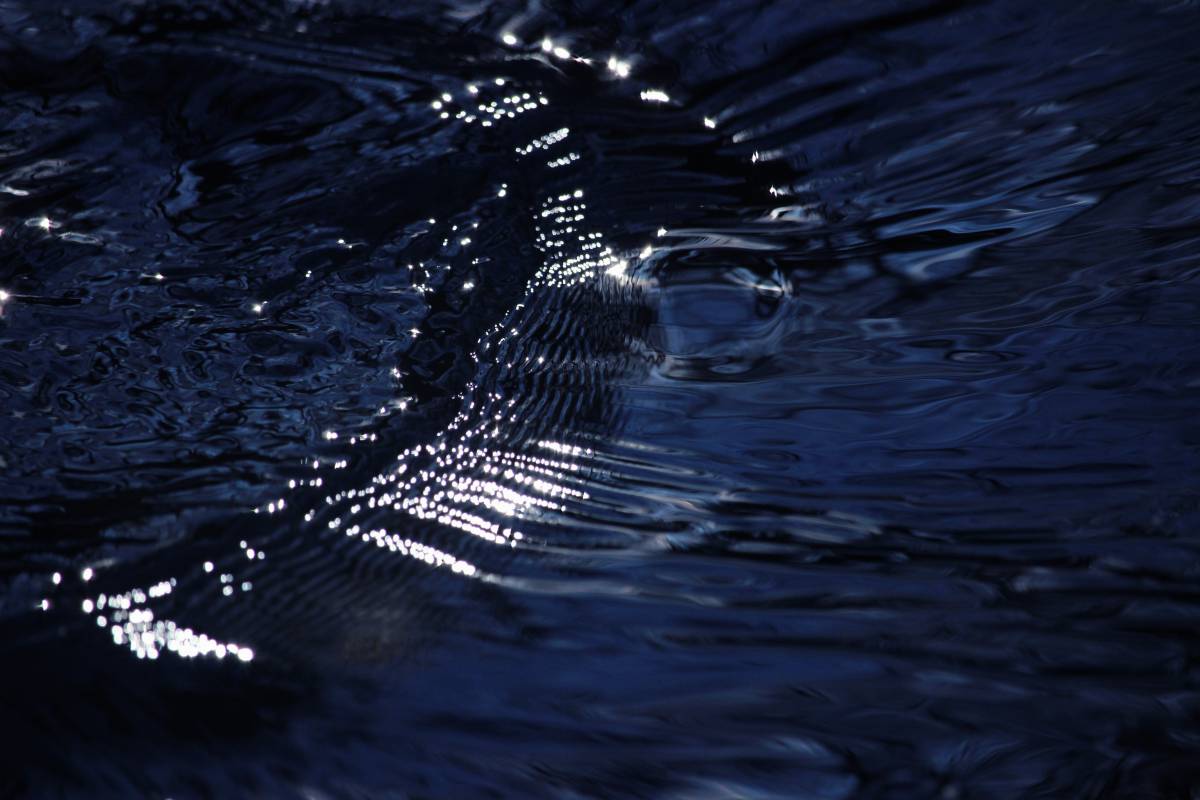   sea  water  nature  forest  outdoor  ocean 