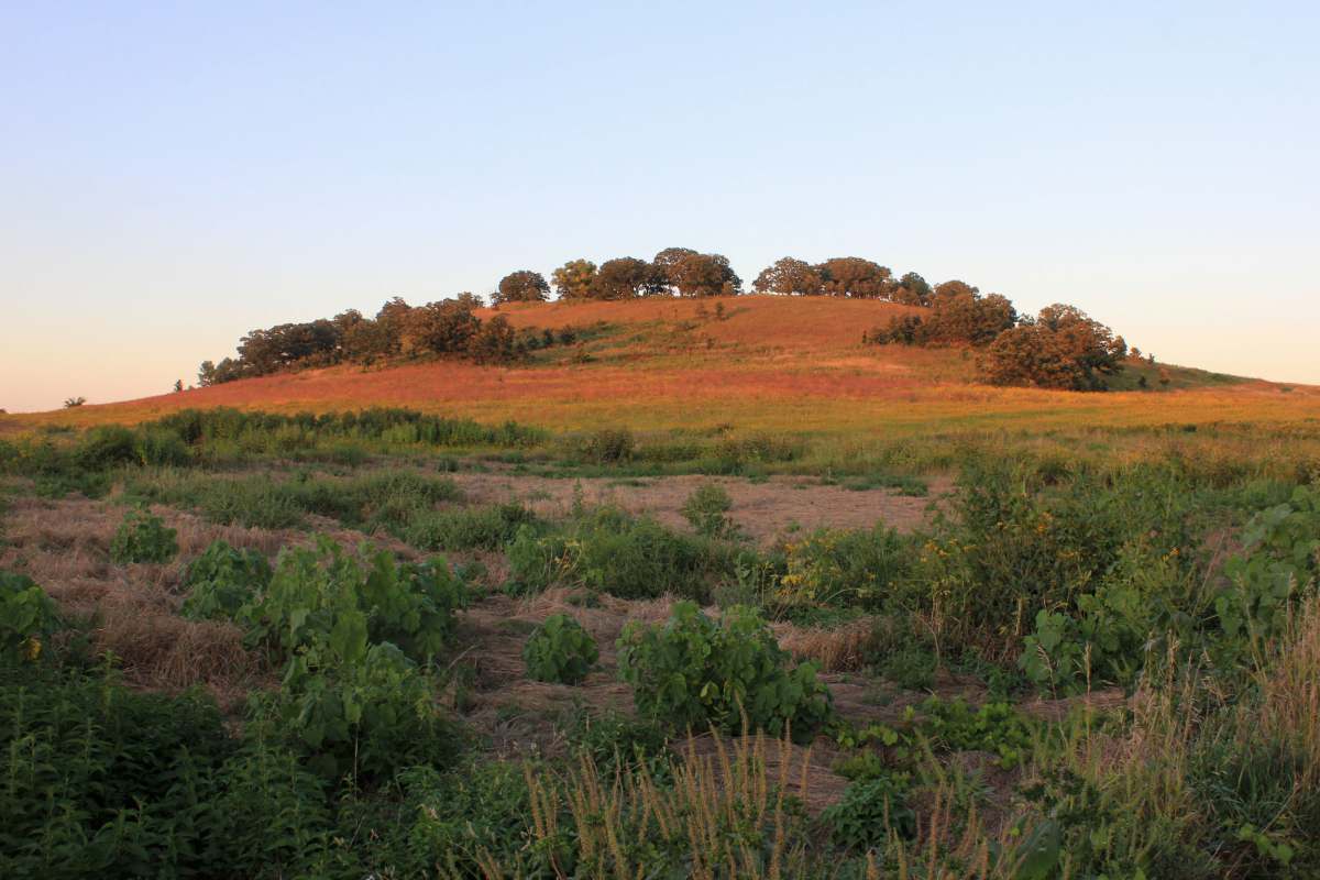 Hill landscape in Madison, Wisconsin image - Free