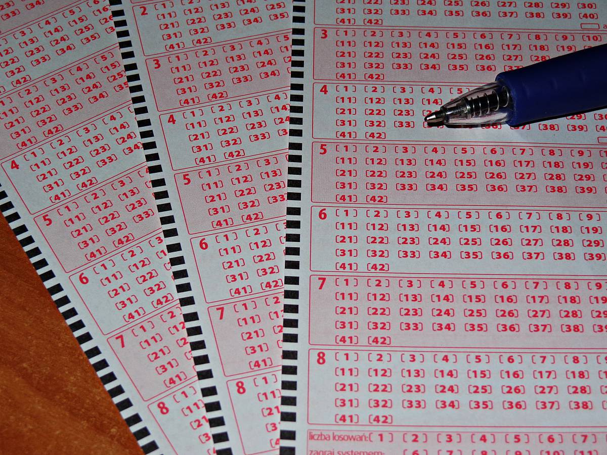   writing  pencil  game  pen  line  money 