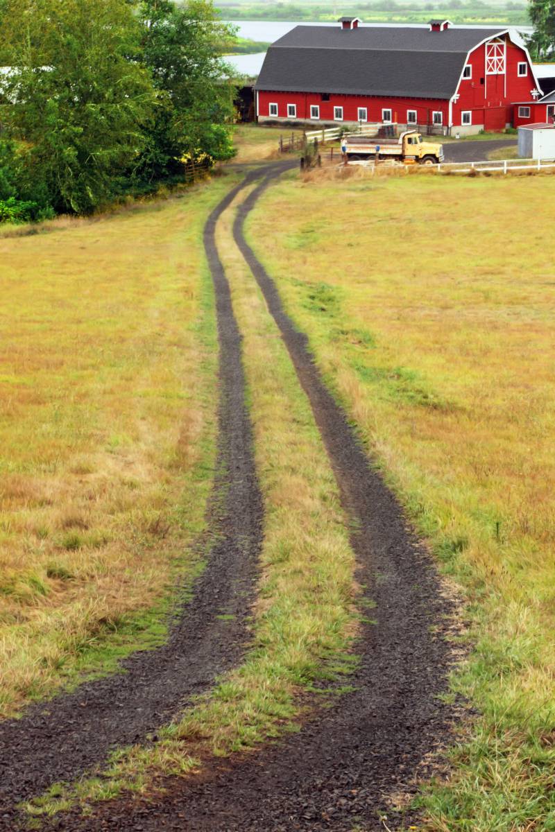   landscape  tree  grass  track  field  farm 
