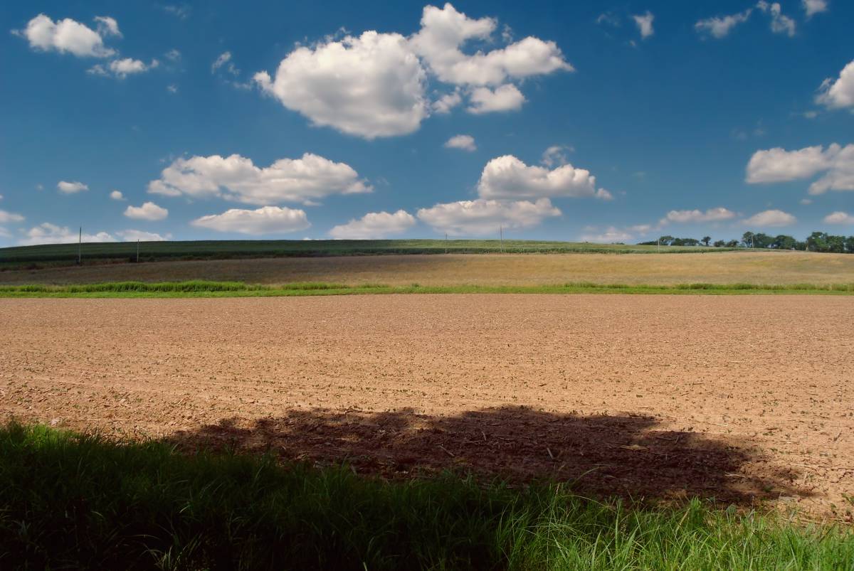   landscape  horizon  cloud  sky  farm  meadow 