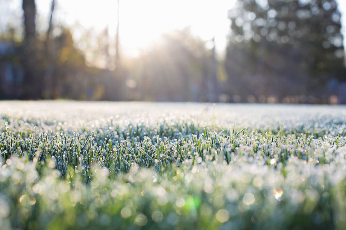   water  nature  field  lawn  meadow  sunlight 