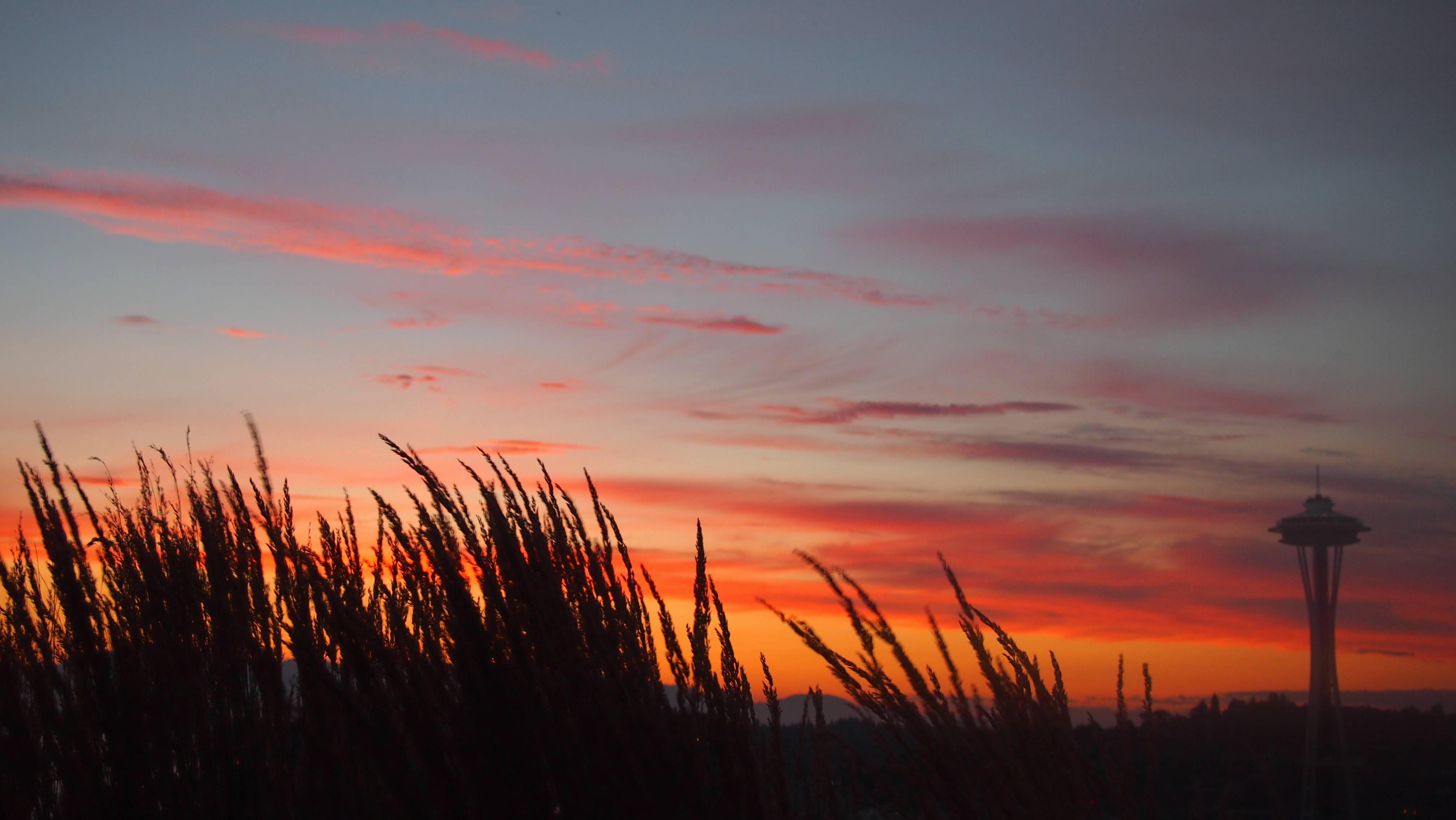 Nature Horizon Cloud Sun Sunrise Sunset Image Free Photo