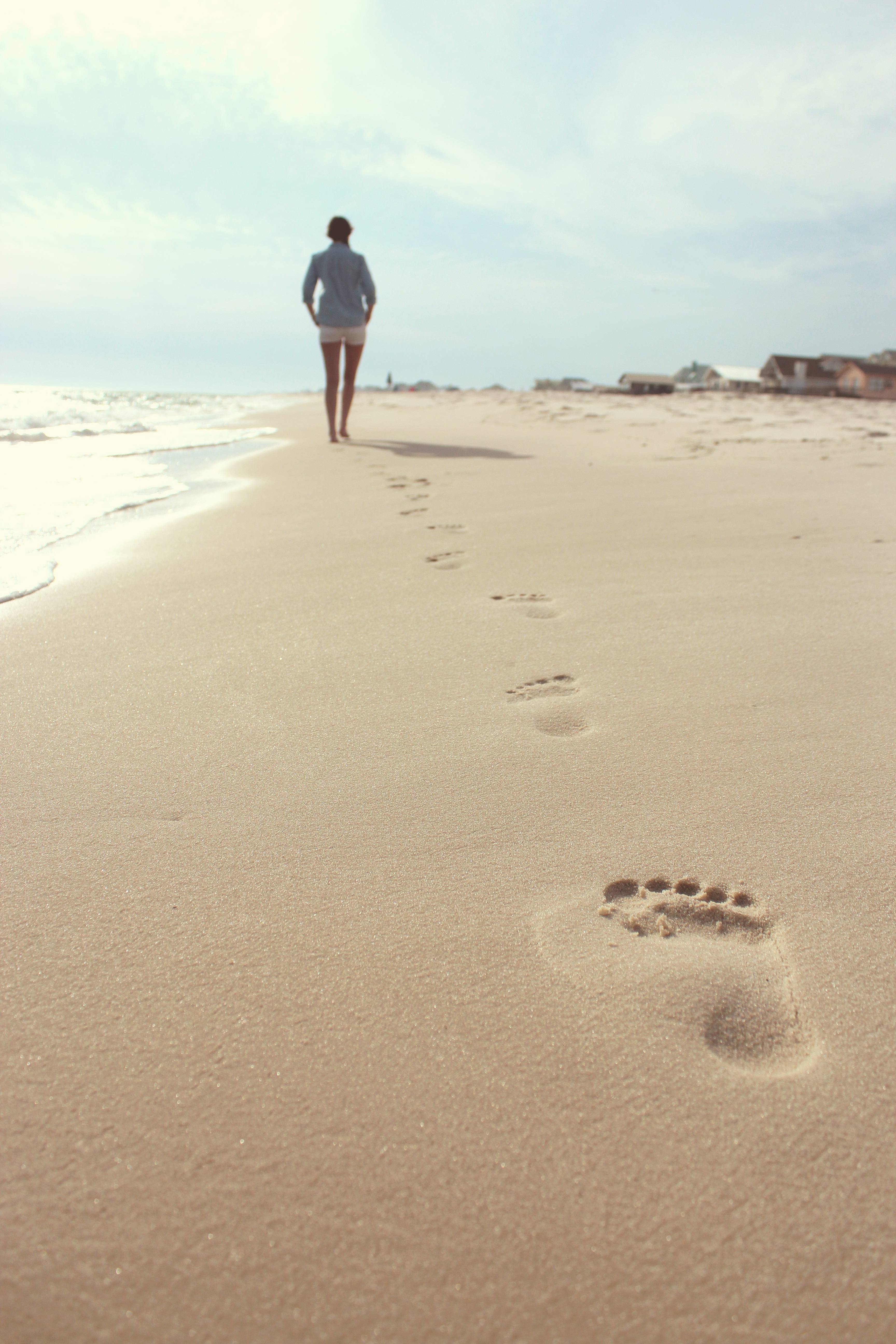 Beach Sea Coast Nature Sand Ocean Image Free Photo