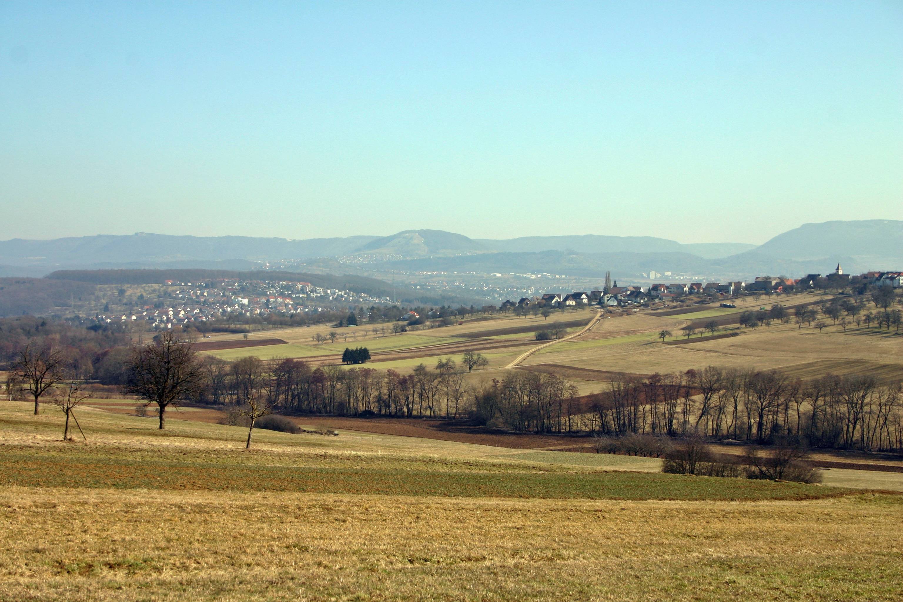 Landscape Tree Nature Grass Horizon Image Free Photo