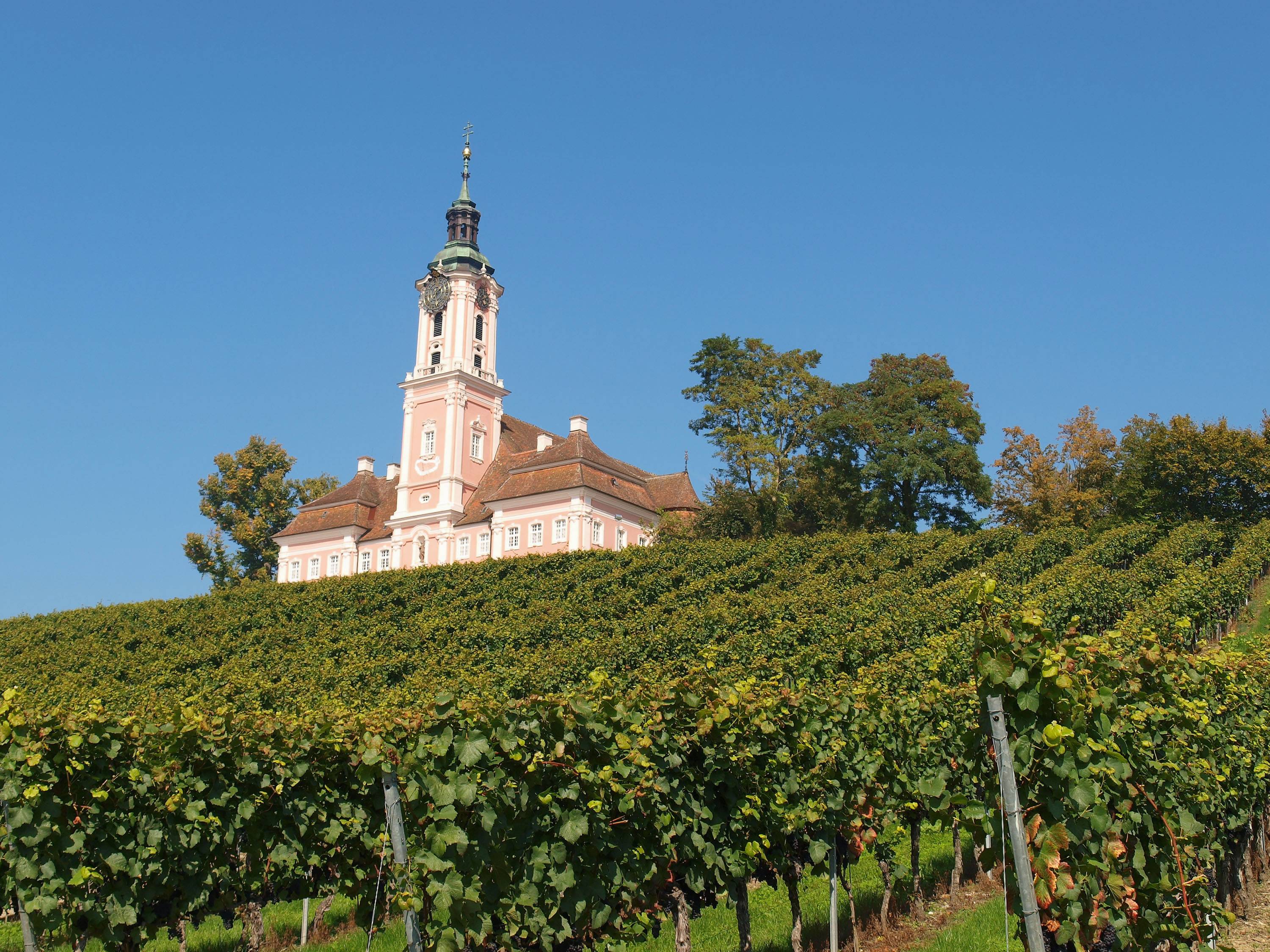 Vineyard Chateau Tower Church Image Free Photo