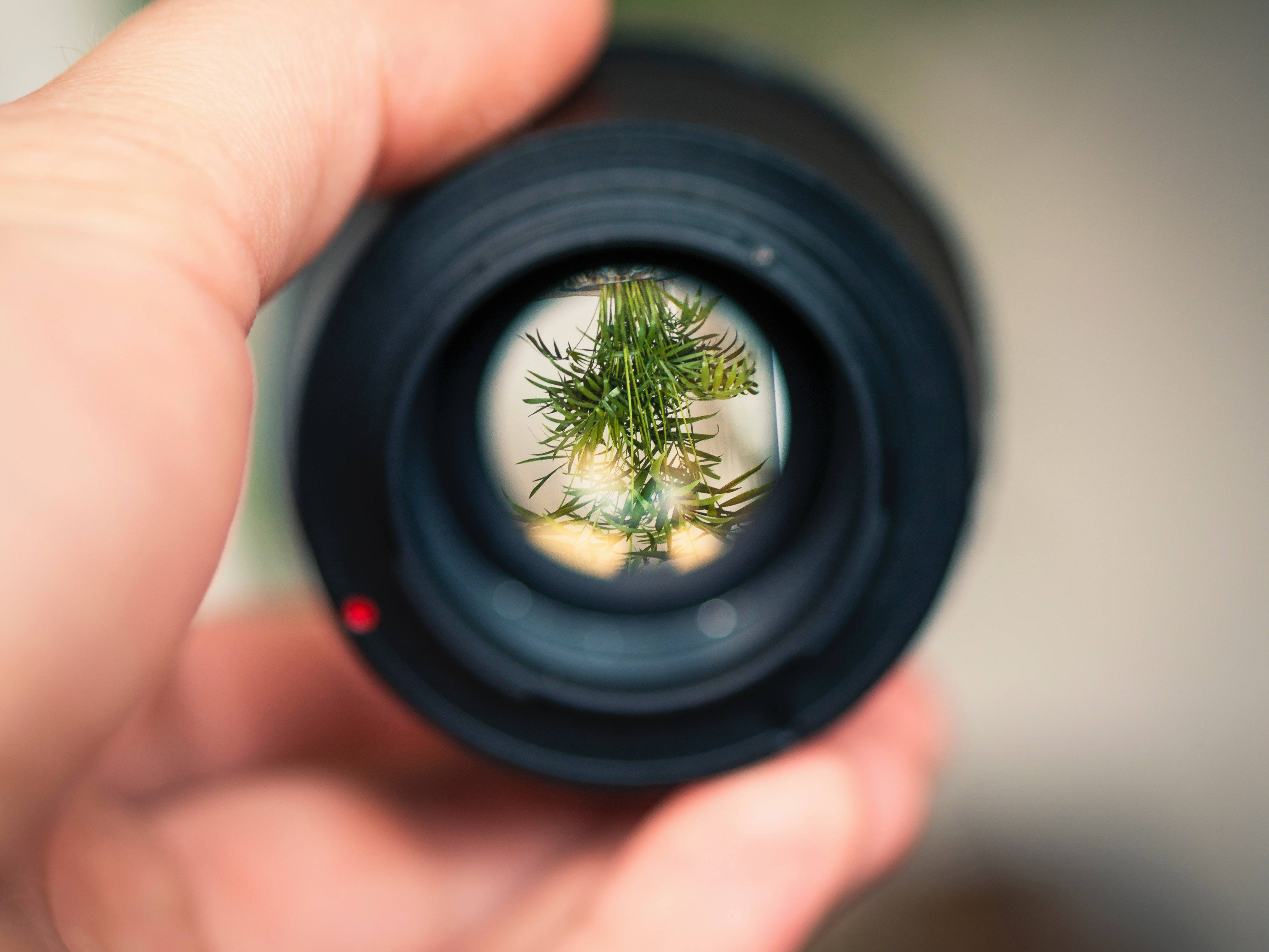 Camera Lens Cameras Optics Eye Macro Image Free Photo