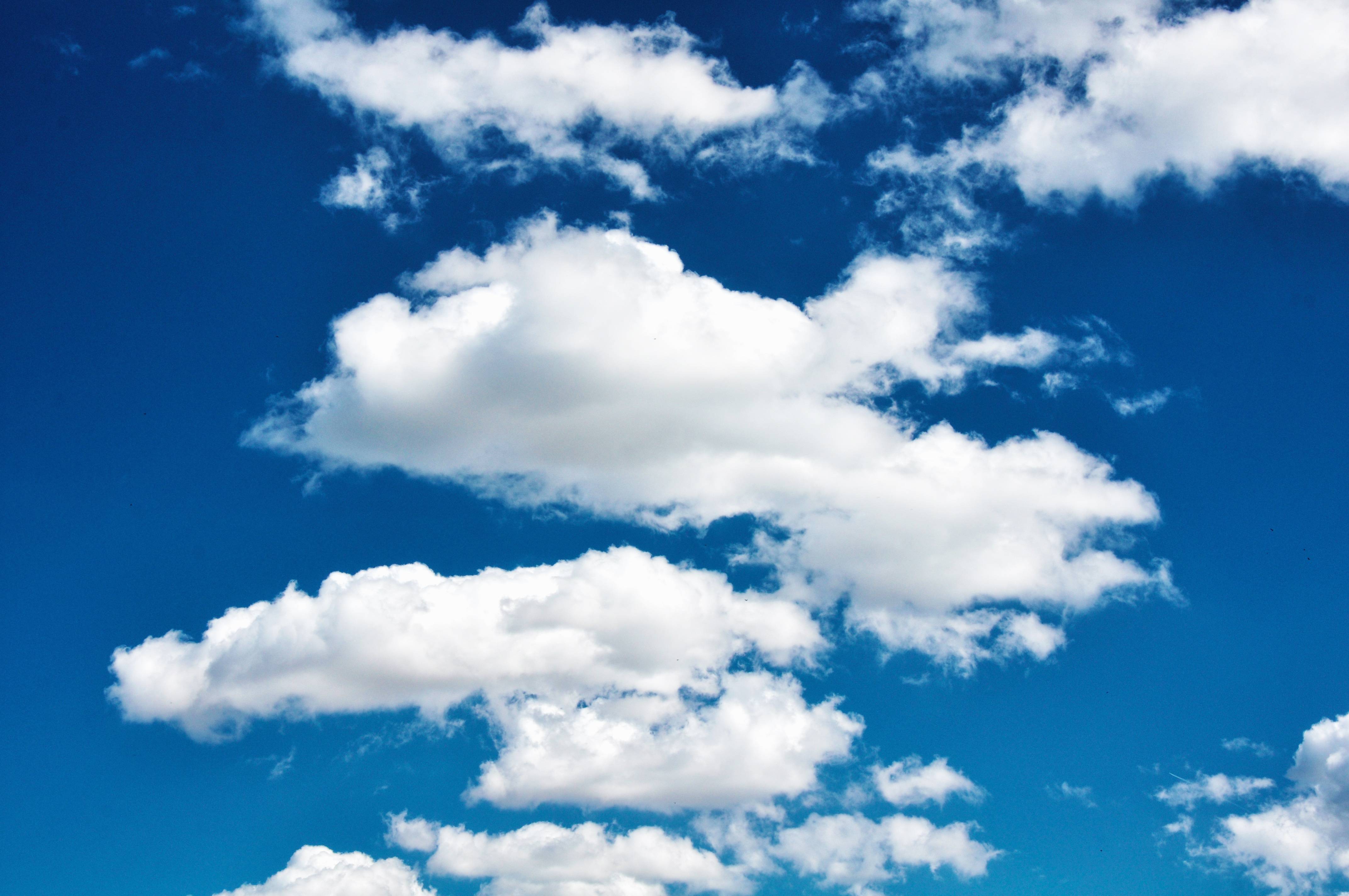 Nature Sunlight Atmosphere Daytime Image Free Photo