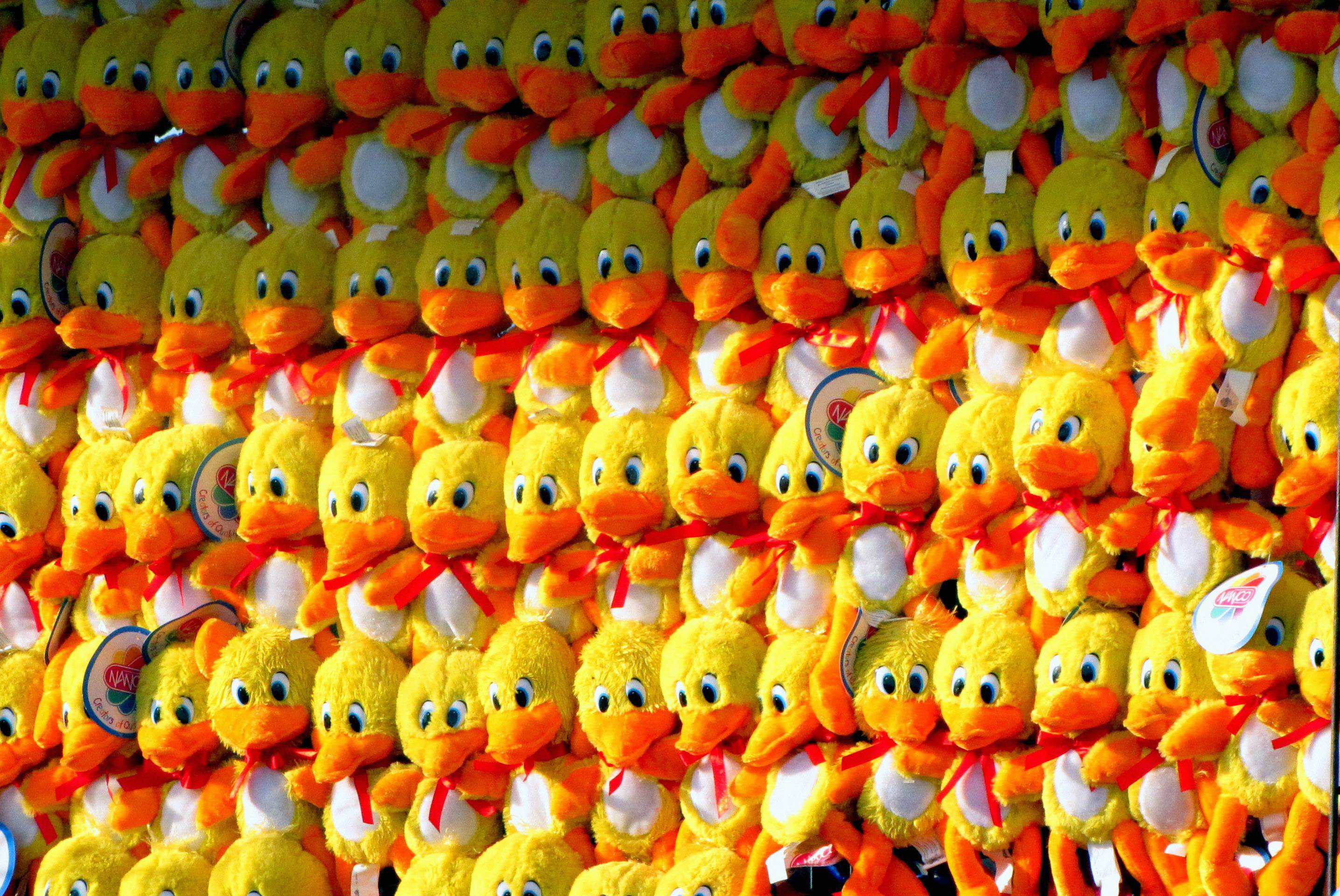 Orange Young Food Color Colorful Yellow Image Free Photo