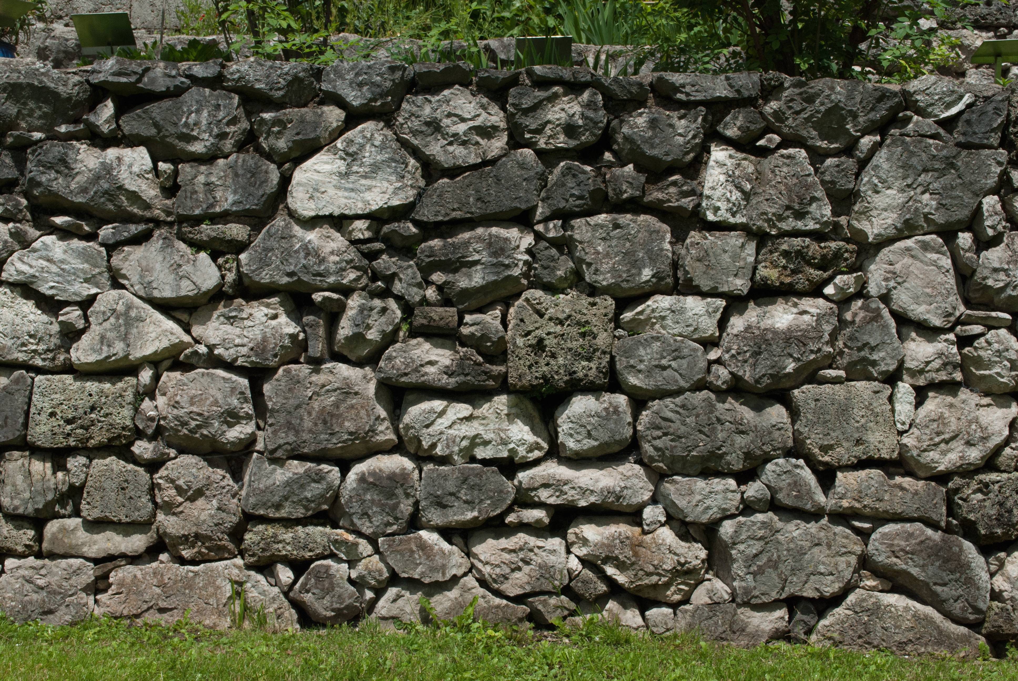 Nature Grass Rock Plant Building Image Free Photo