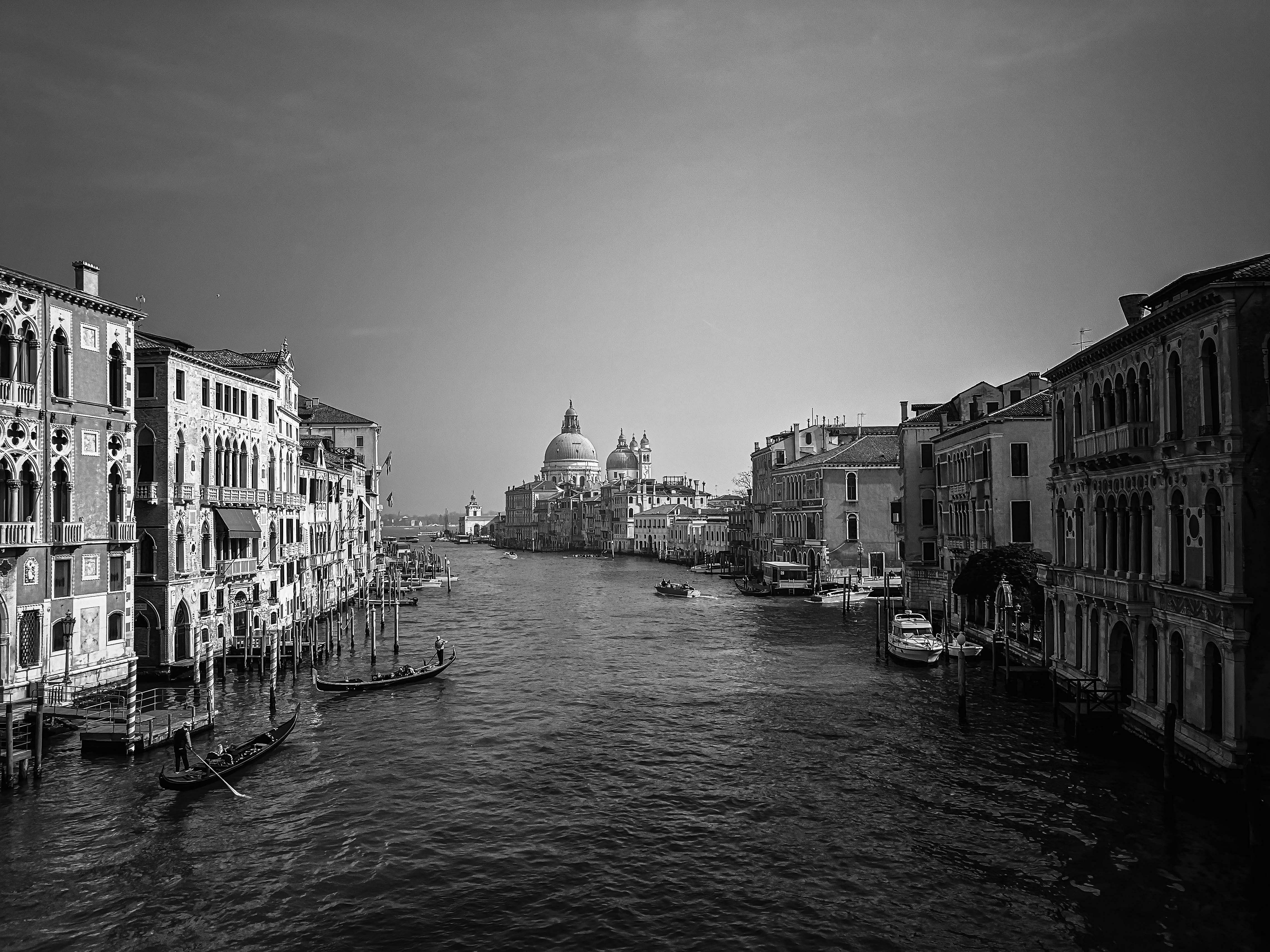 Venice Greyscale Photo Of River Italy Image Free Photo