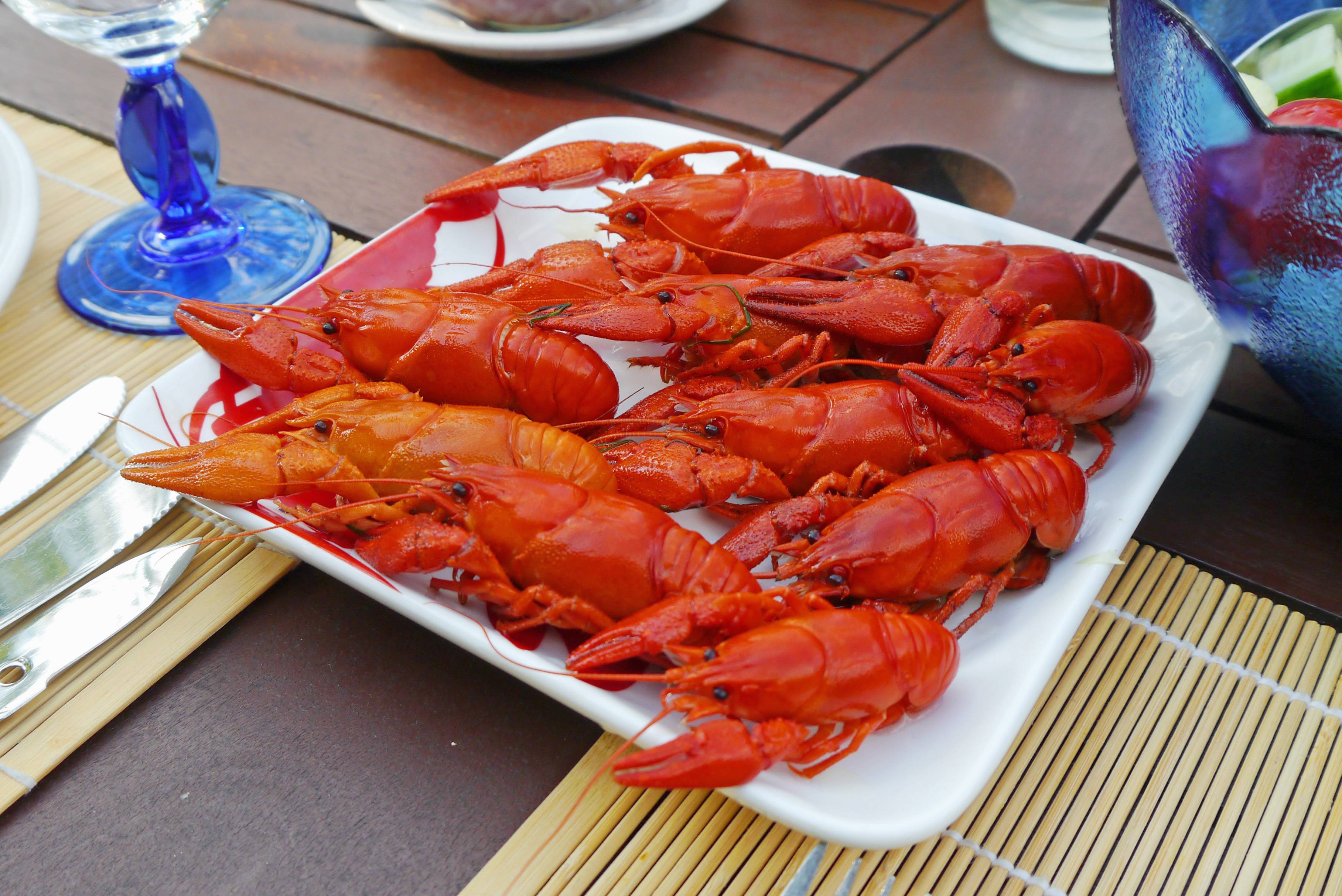 Table Red Covered Fish Delicious Image Free Photo