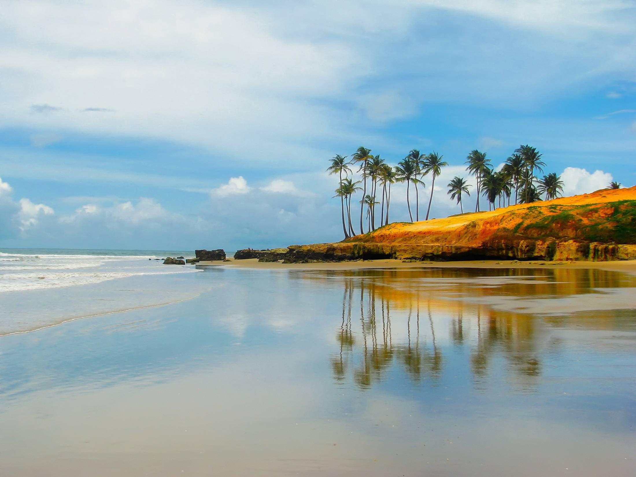 Beach Landscape Sea Coast Tree Nature Image Free Photo