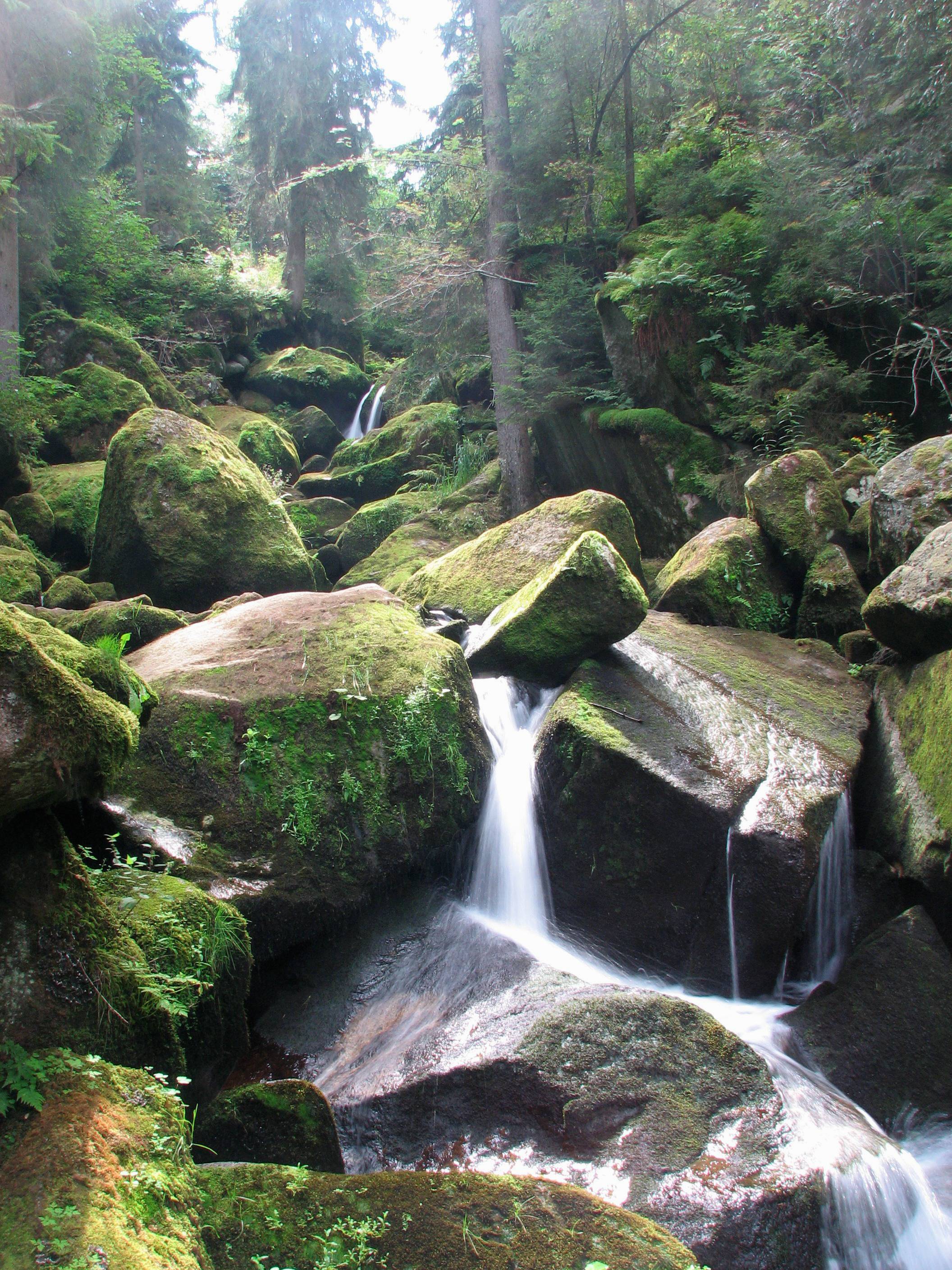 Landscape Nature Rock Waterfall Image Free Photo