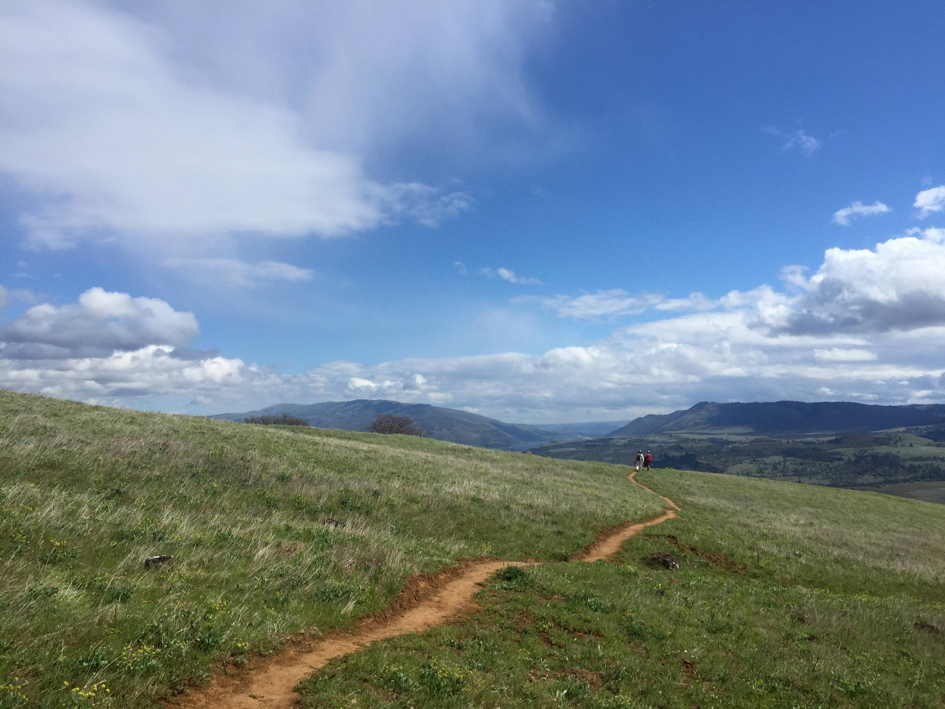 Trail Hiking Landscape With Blue Skies Image - Free stock Image Free Photo