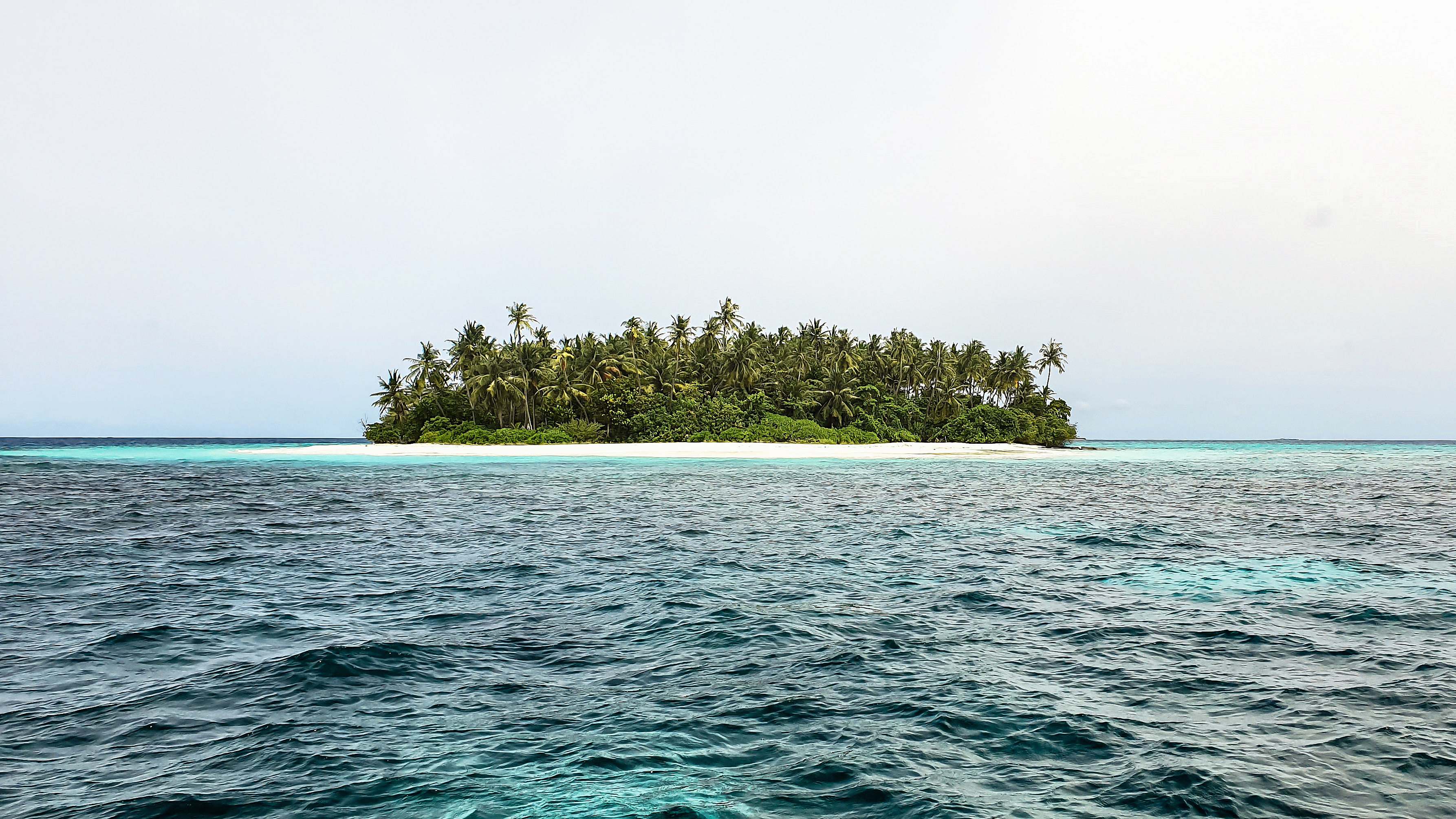 Maldives Green Trees On Island During Daytime Raa Atoll Image Free Photo