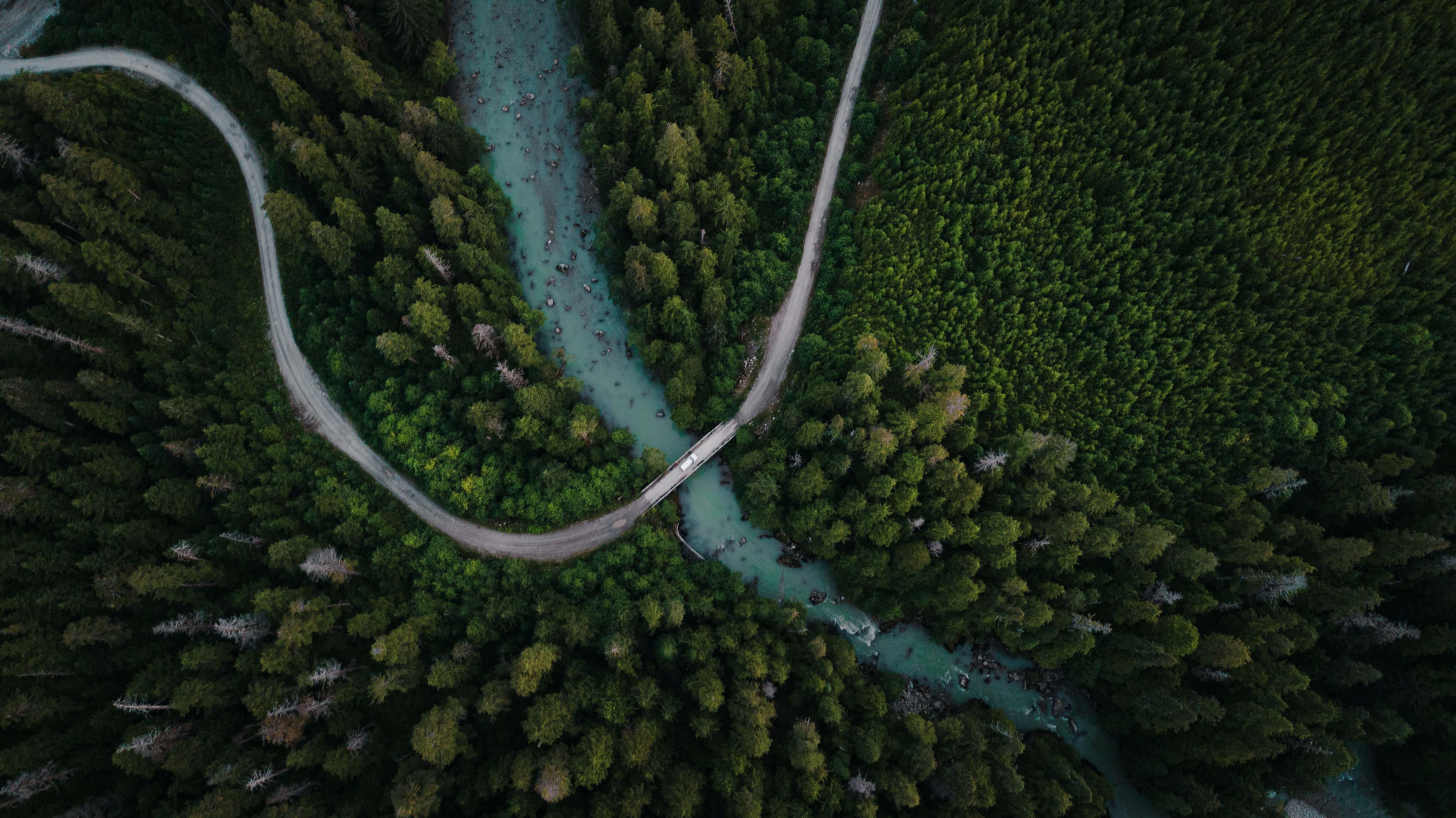 Kitimat Aerial View Of Green Trees And River Bc Image Free Photo