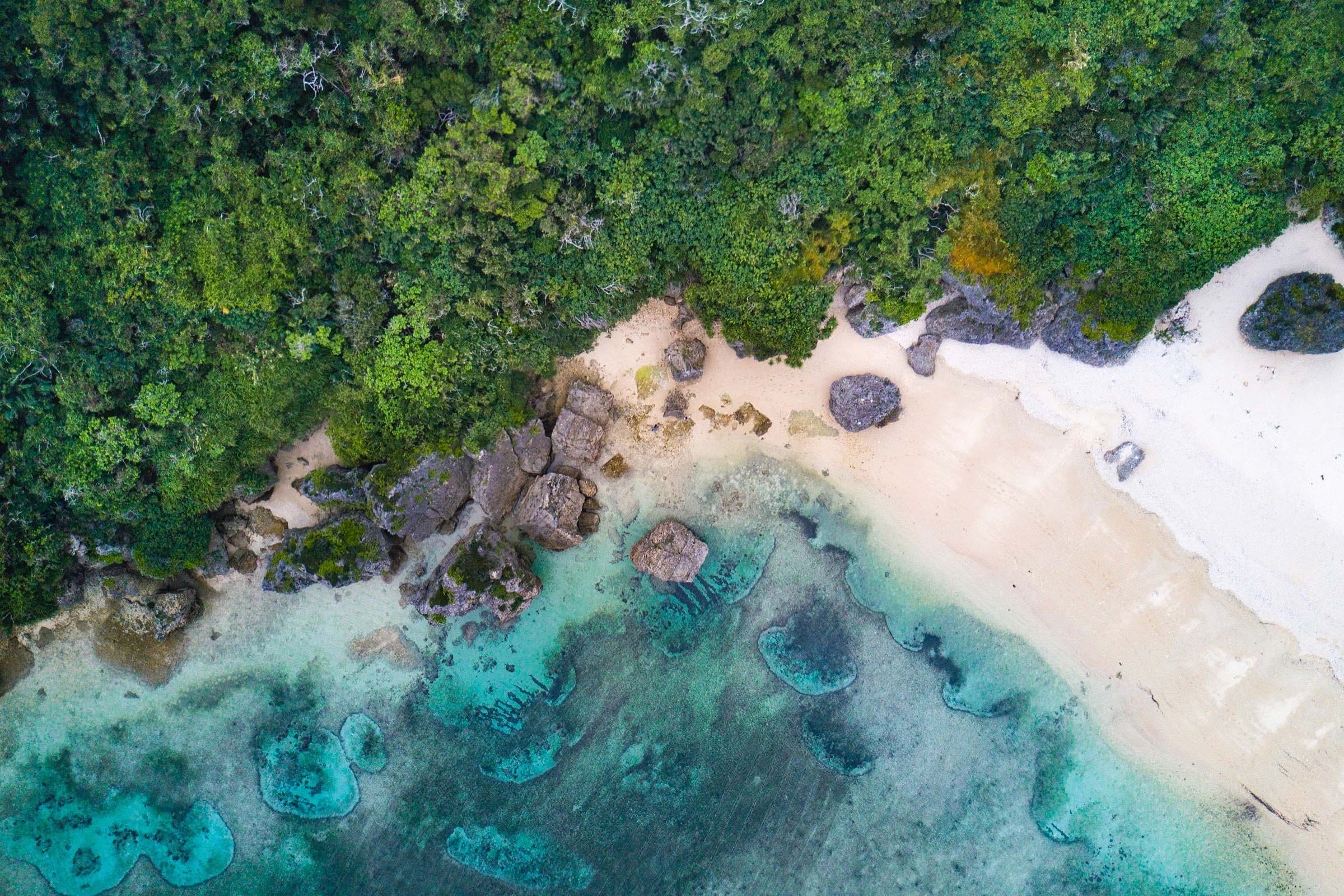 うるま市 Aerial Photography Of Sea Beside Green Trees During Daytime 沖縄県