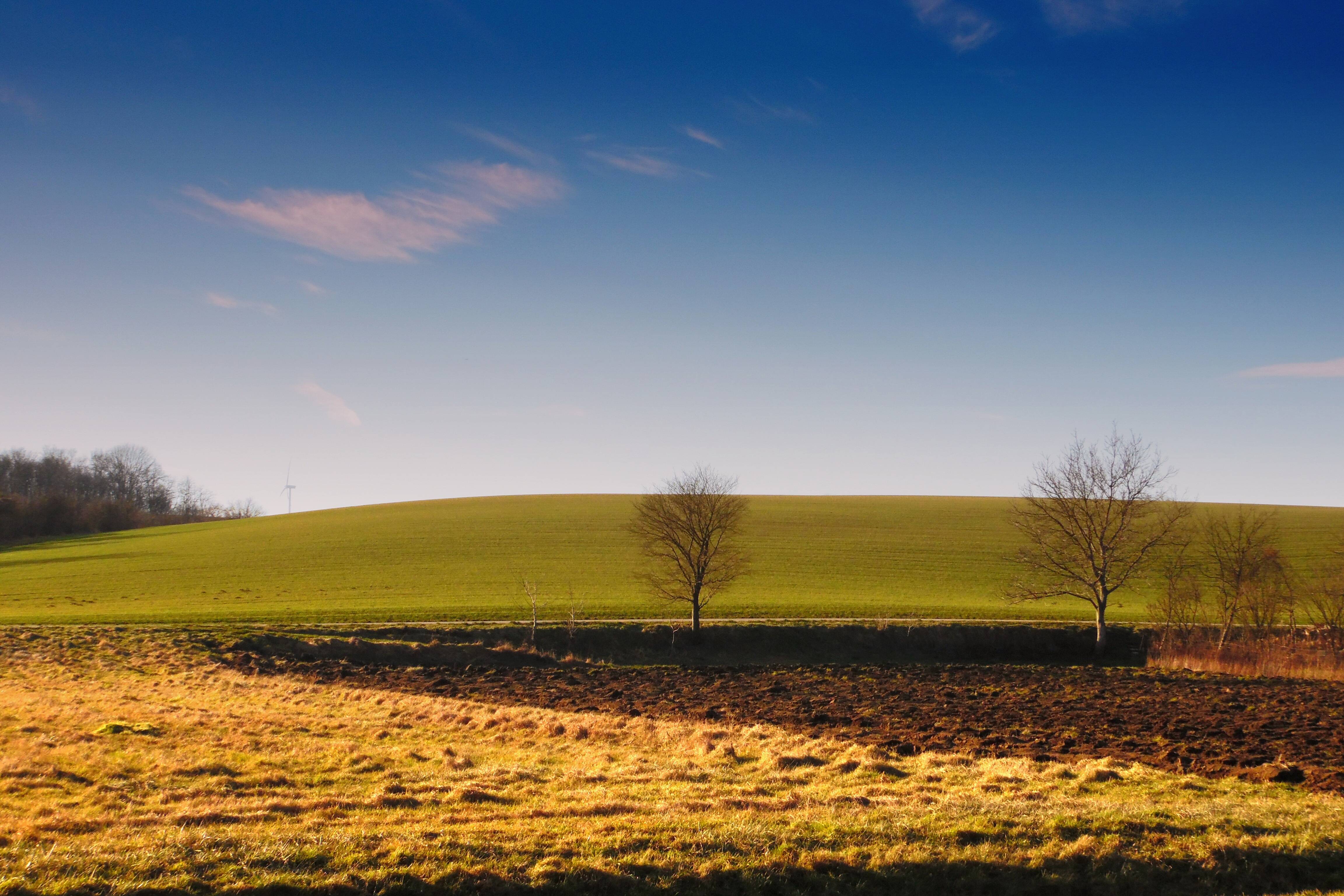 Landscape Tree Nature Horizon Cloud Sky Image Free Photo