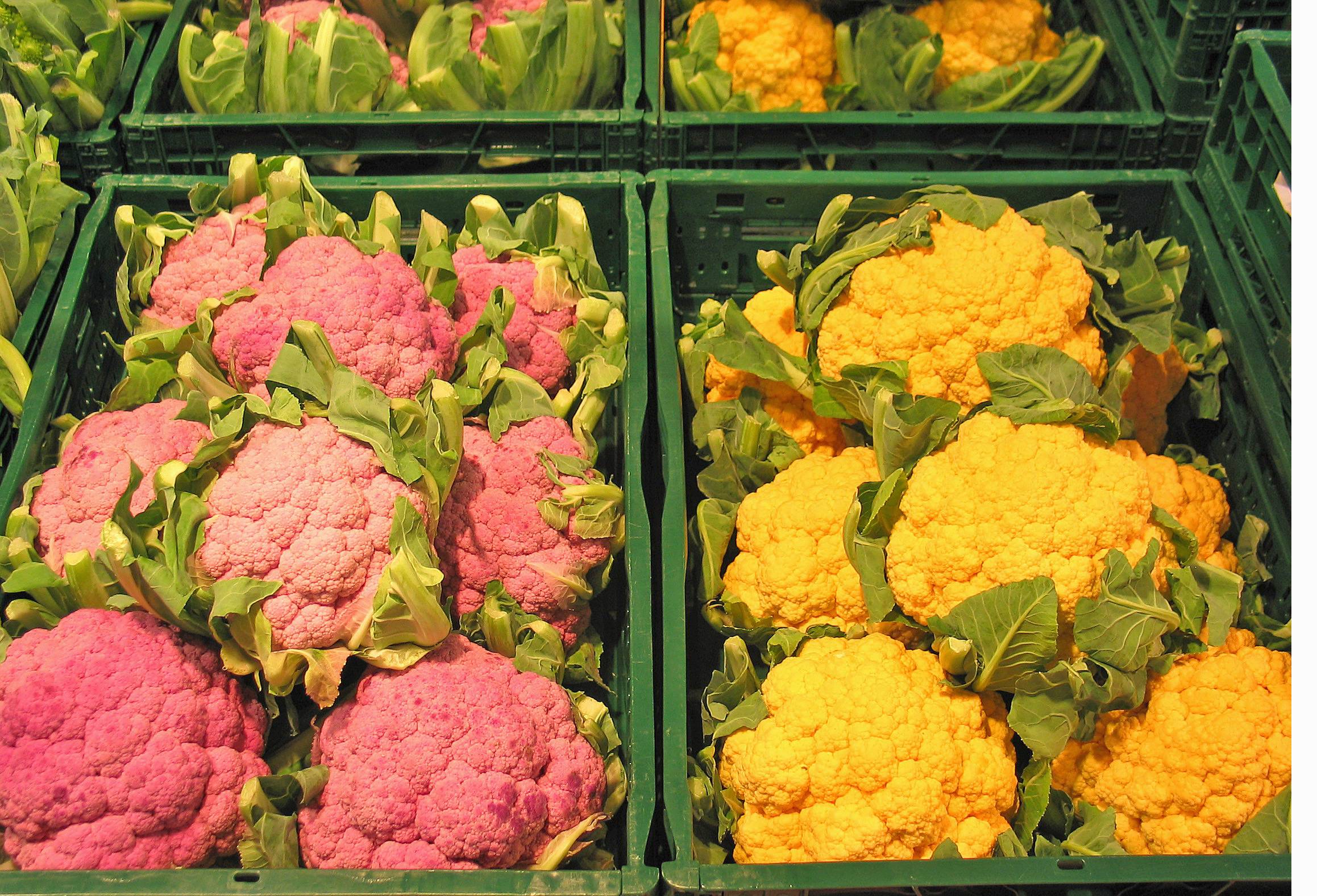 Flower Feed Dish Meal Food Harvest Image Free Photo