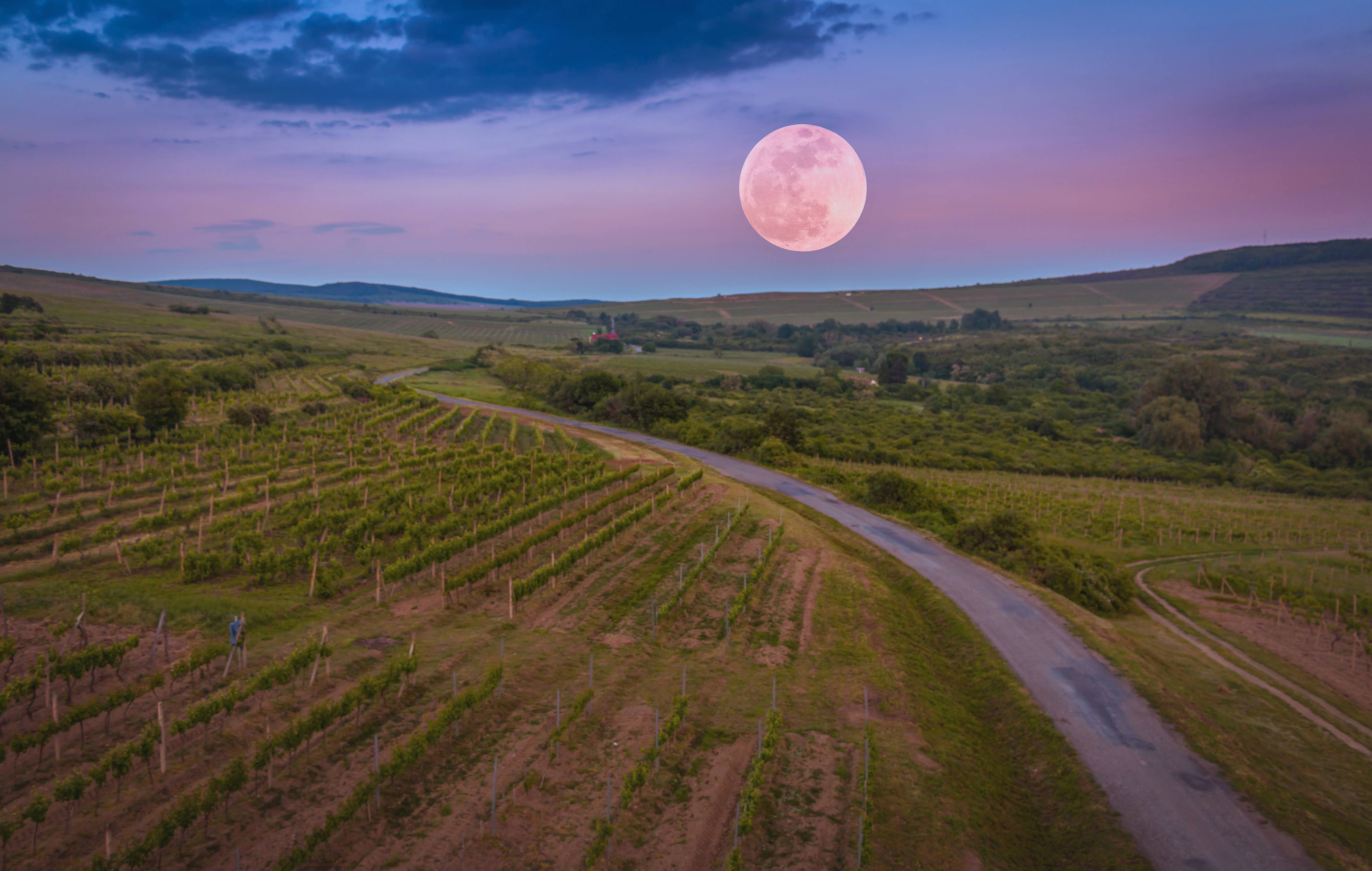 Landscape Nature Horizon Mountain Sky Image Free Photo