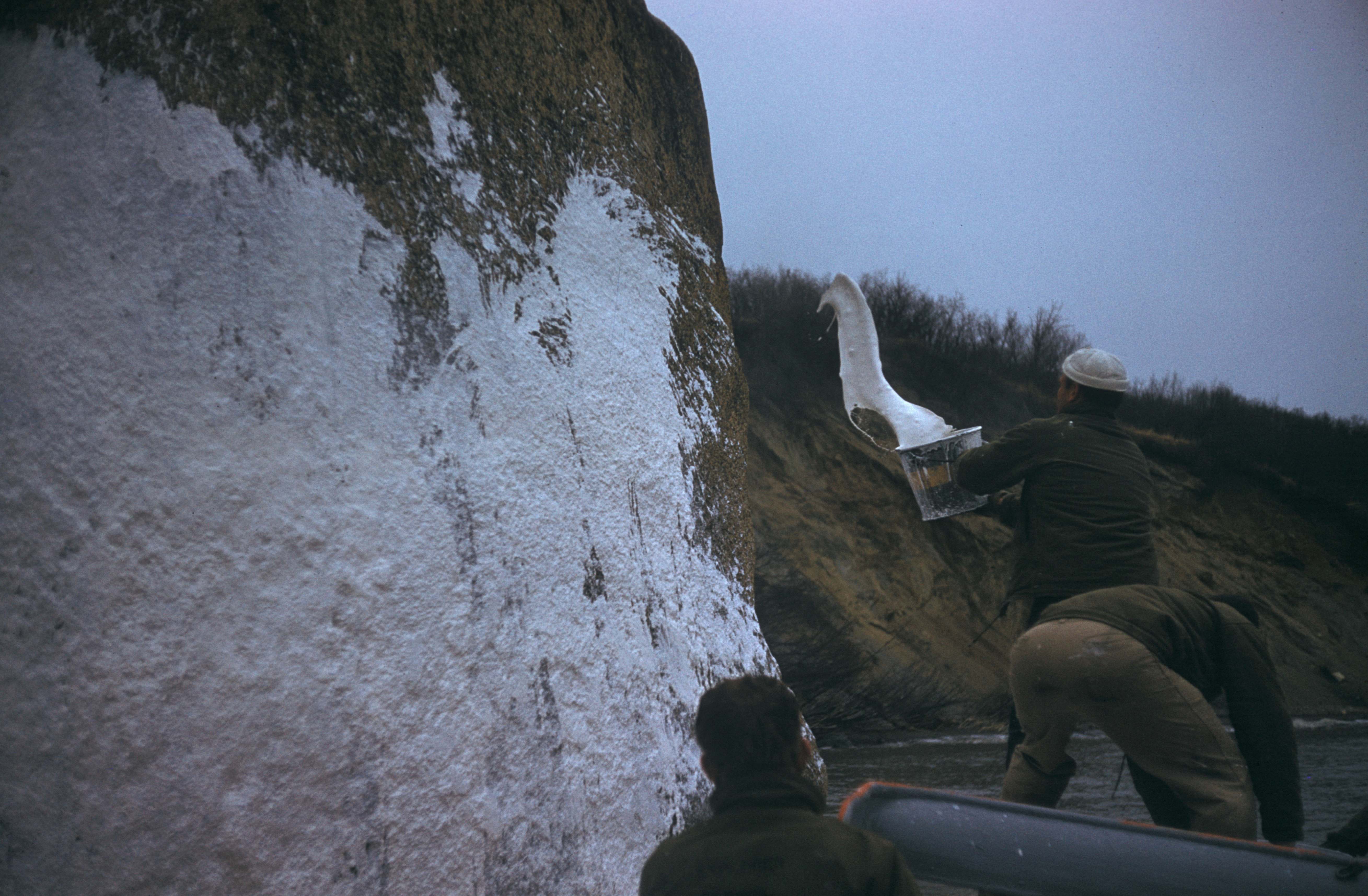 Person Pouring White Paint Image Free Photo