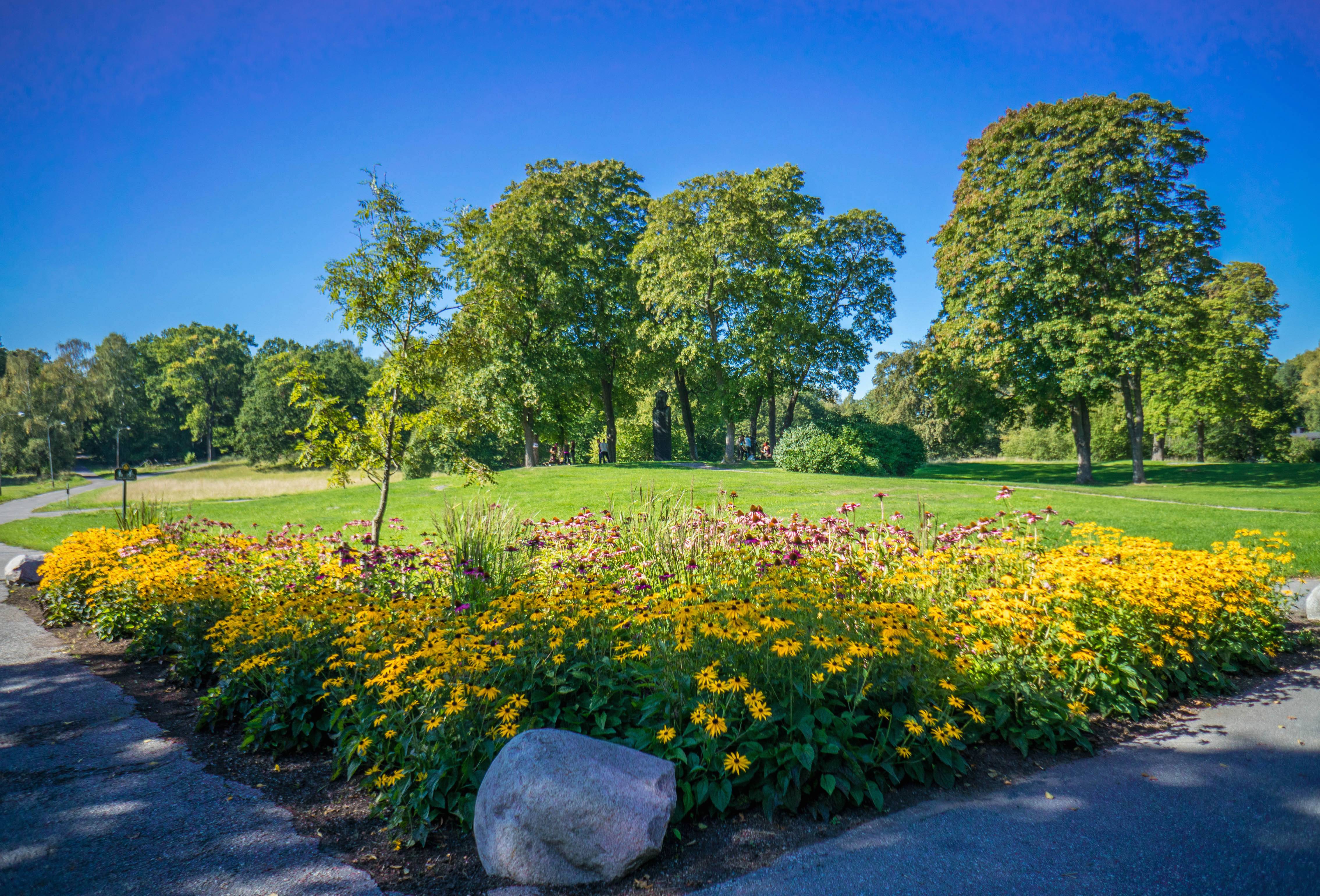 Landscape Tree Nature Grass Blossom Image Free Photo
