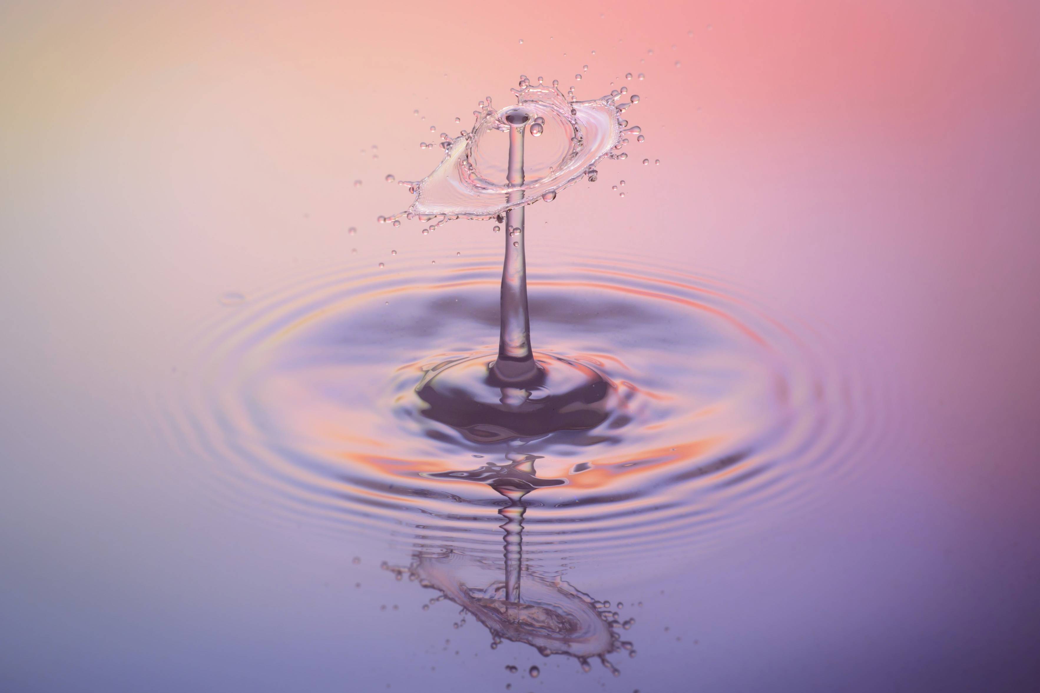 Liquid Flower Purple Reflection Spray Image Free Photo